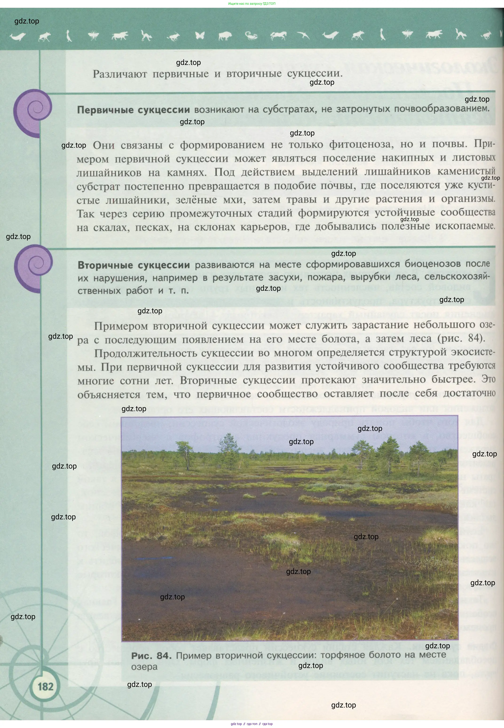 Биология, 11 класс Учебник, авторы: Пасечник Владимир Васильевич, Каменский Андрей Александрович, Рубцов Александр Михайлович, Швецов Глеб Геннадьевич, Гапонюк Зоя Георгиевна, издательство Просвещение, Москва, 2018, страница 182