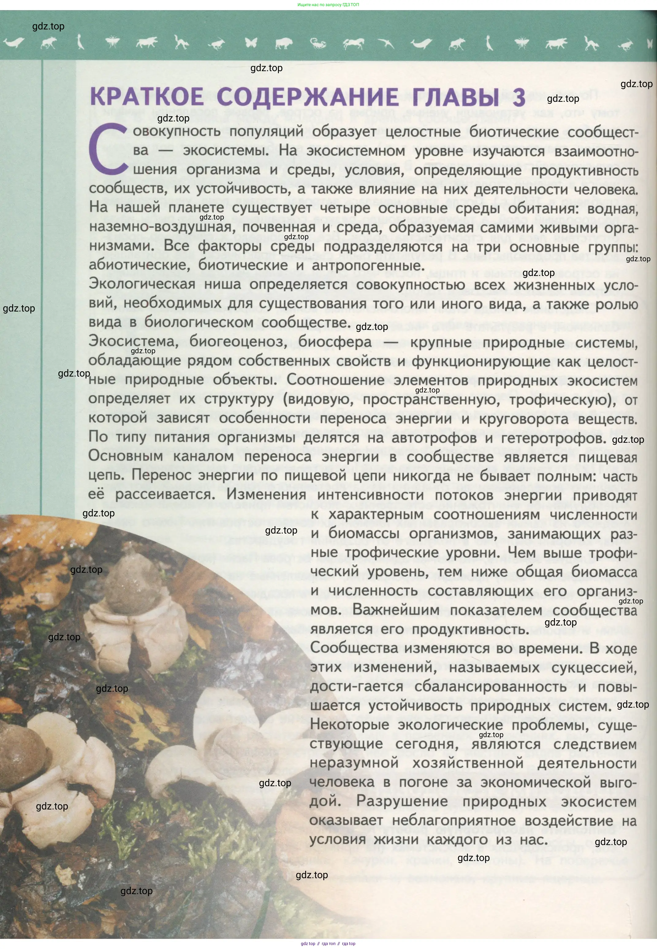 Биология, 11 класс Учебник, авторы: Пасечник Владимир Васильевич, Каменский Андрей Александрович, Рубцов Александр Михайлович, Швецов Глеб Геннадьевич, Гапонюк Зоя Георгиевна, издательство Просвещение, Москва, 2018, страница 188