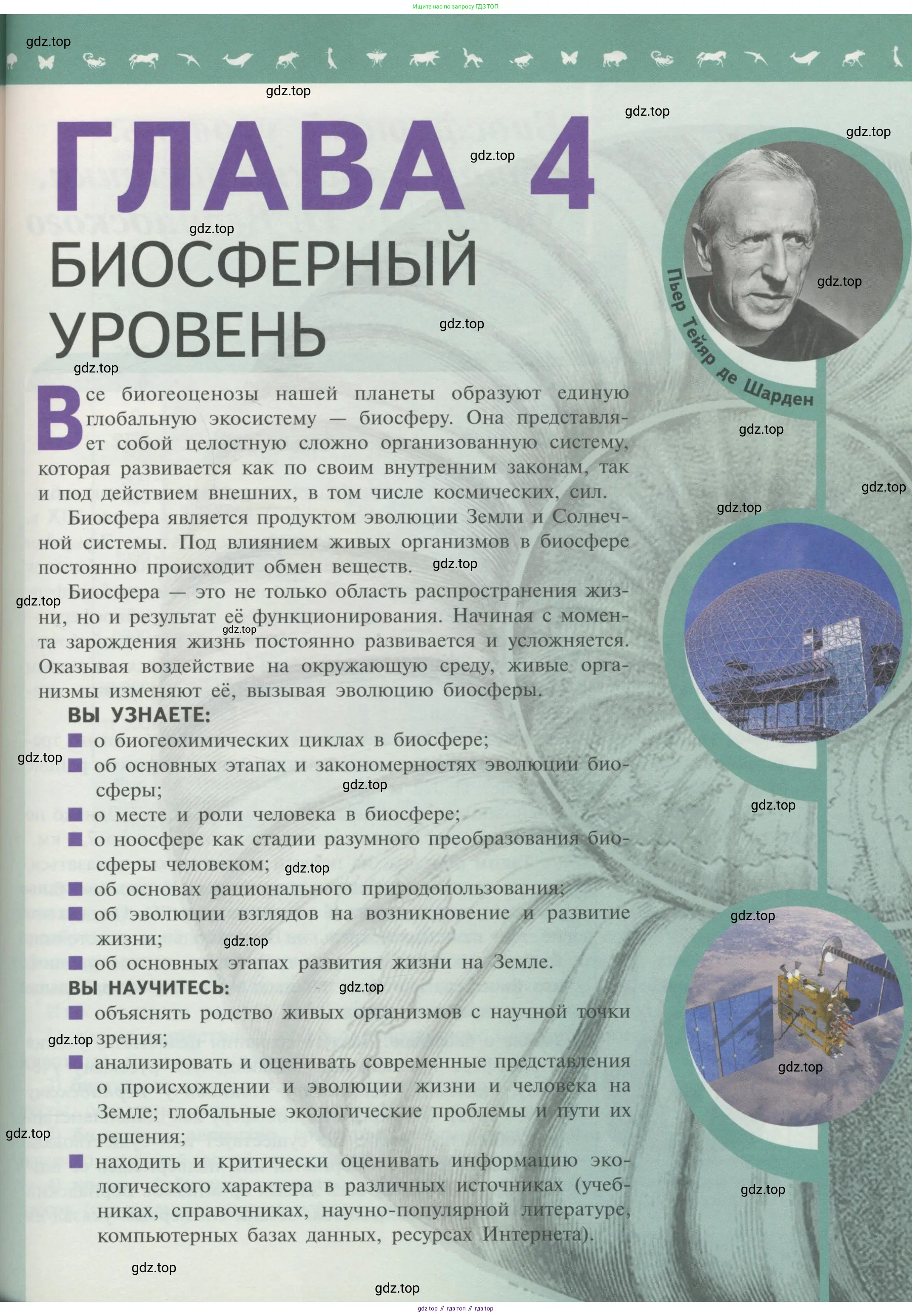 Биология, 11 класс Учебник, авторы: Пасечник Владимир Васильевич, Каменский Андрей Александрович, Рубцов Александр Михайлович, Швецов Глеб Геннадьевич, Гапонюк Зоя Георгиевна, издательство Просвещение, Москва, 2018, страница 189