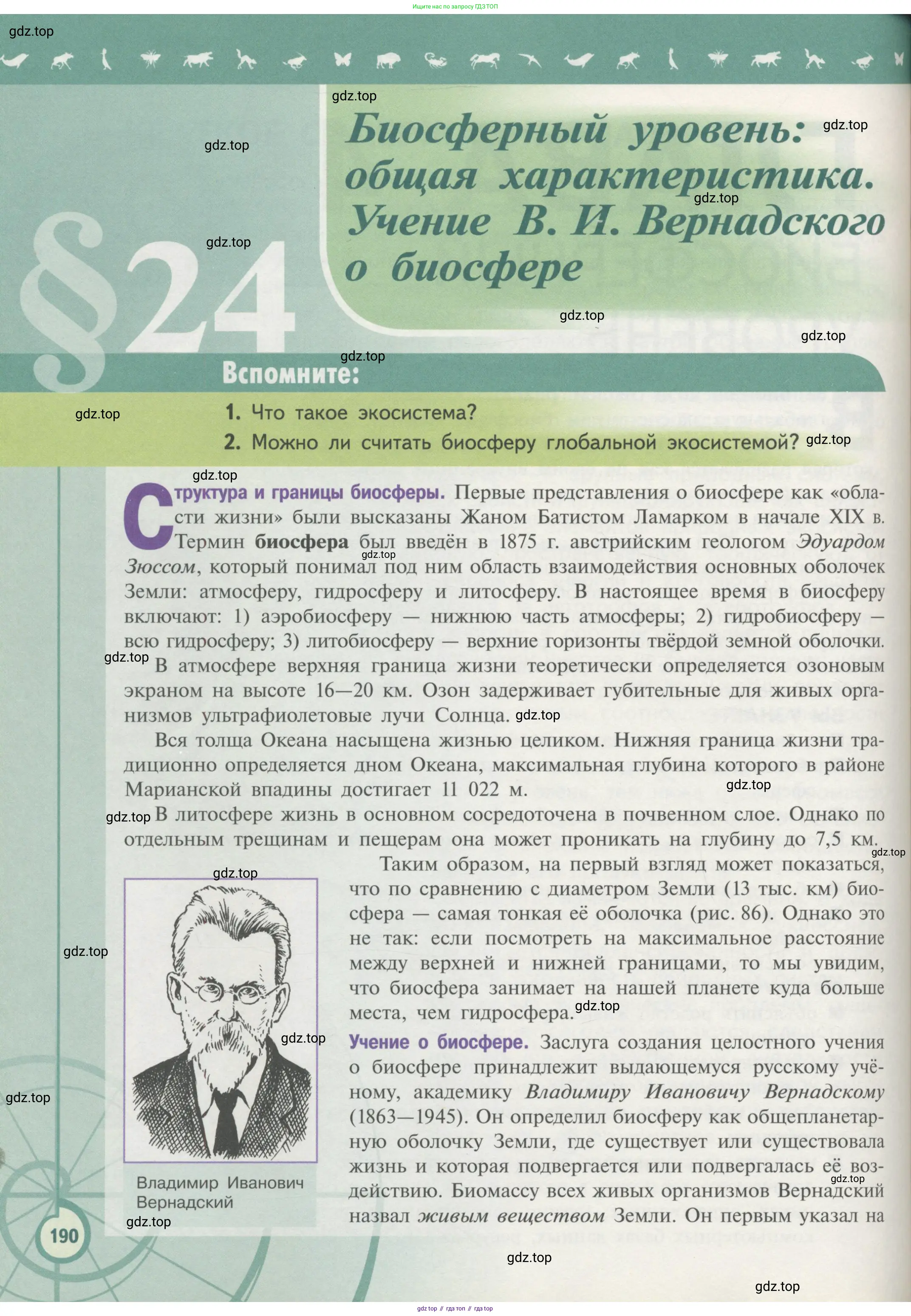 Биология, 11 класс Учебник, авторы: Пасечник Владимир Васильевич, Каменский Андрей Александрович, Рубцов Александр Михайлович, Швецов Глеб Геннадьевич, Гапонюк Зоя Георгиевна, издательство Просвещение, Москва, 2018, страница 190