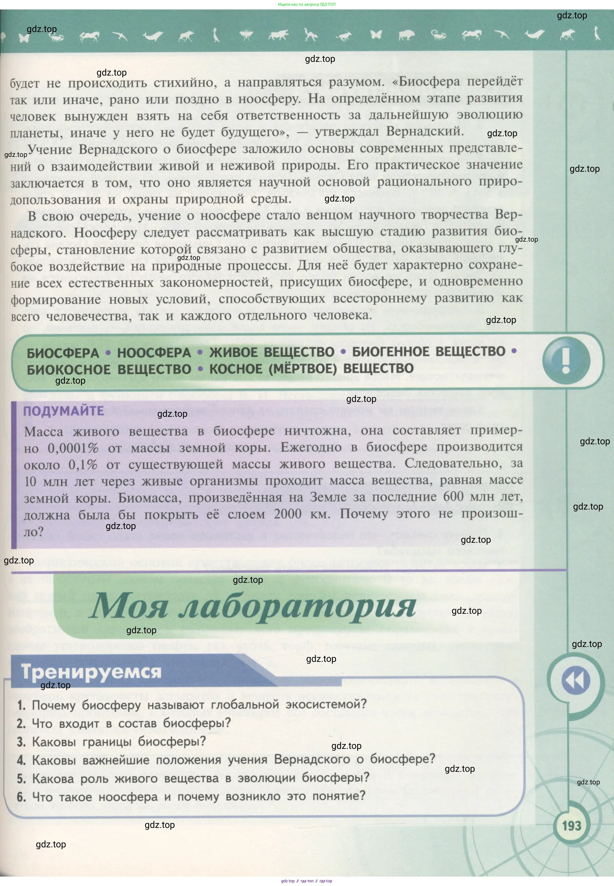 Биология, 11 класс Учебник, авторы: Пасечник Владимир Васильевич, Каменский Андрей Александрович, Рубцов Александр Михайлович, Швецов Глеб Геннадьевич, Гапонюк Зоя Георгиевна, издательство Просвещение, Москва, 2018, страница 193