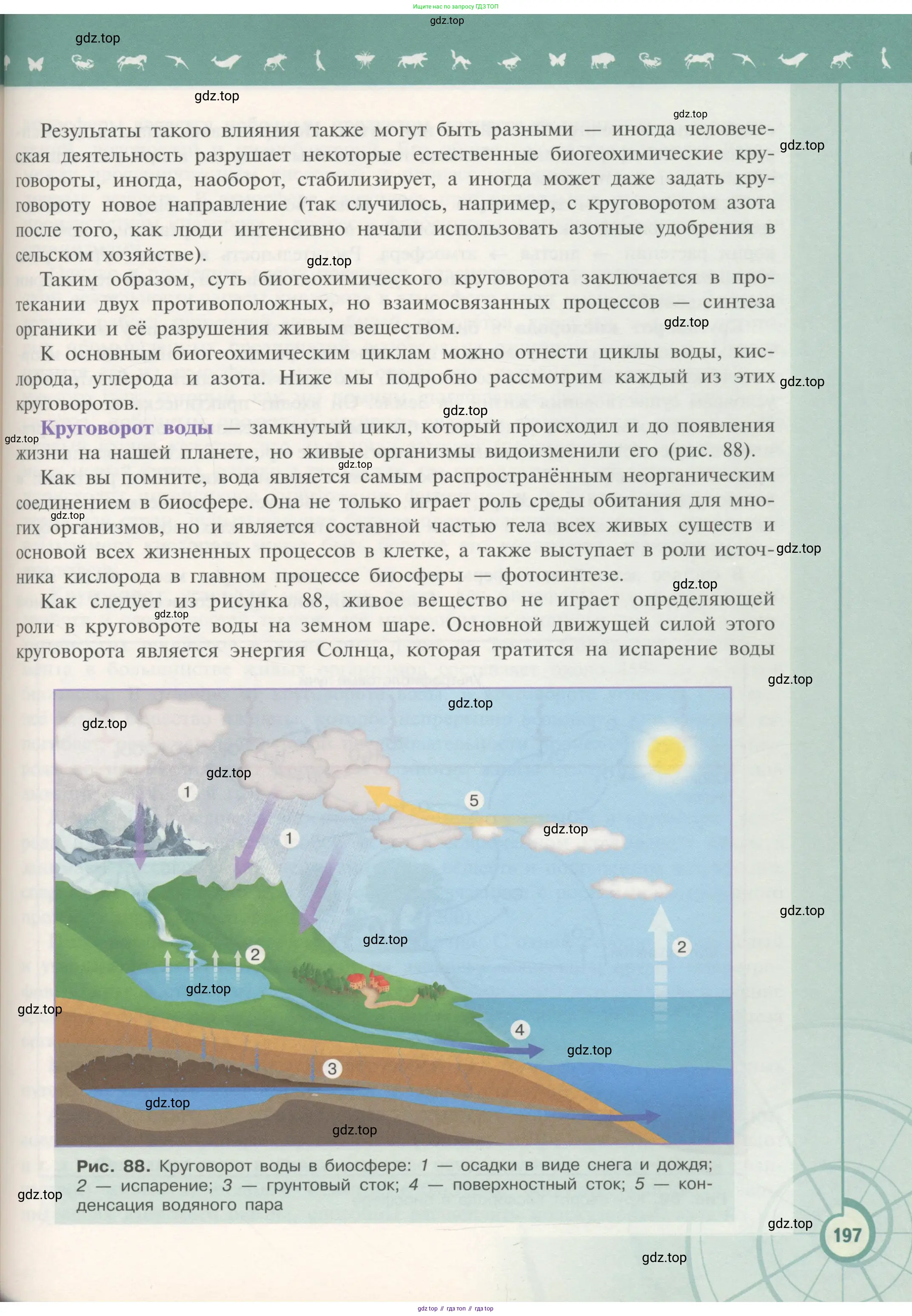 Биология, 11 класс Учебник, авторы: Пасечник Владимир Васильевич, Каменский Андрей Александрович, Рубцов Александр Михайлович, Швецов Глеб Геннадьевич, Гапонюк Зоя Георгиевна, издательство Просвещение, Москва, 2018, страница 197