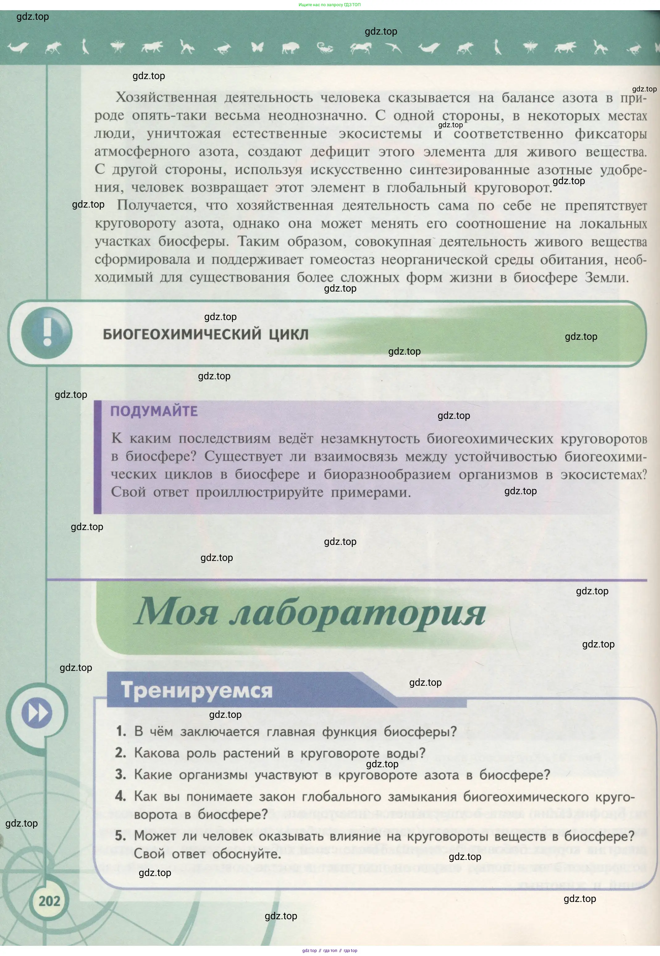 Биология, 11 класс Учебник, авторы: Пасечник Владимир Васильевич, Каменский Андрей Александрович, Рубцов Александр Михайлович, Швецов Глеб Геннадьевич, Гапонюк Зоя Георгиевна, издательство Просвещение, Москва, 2018, страница 202