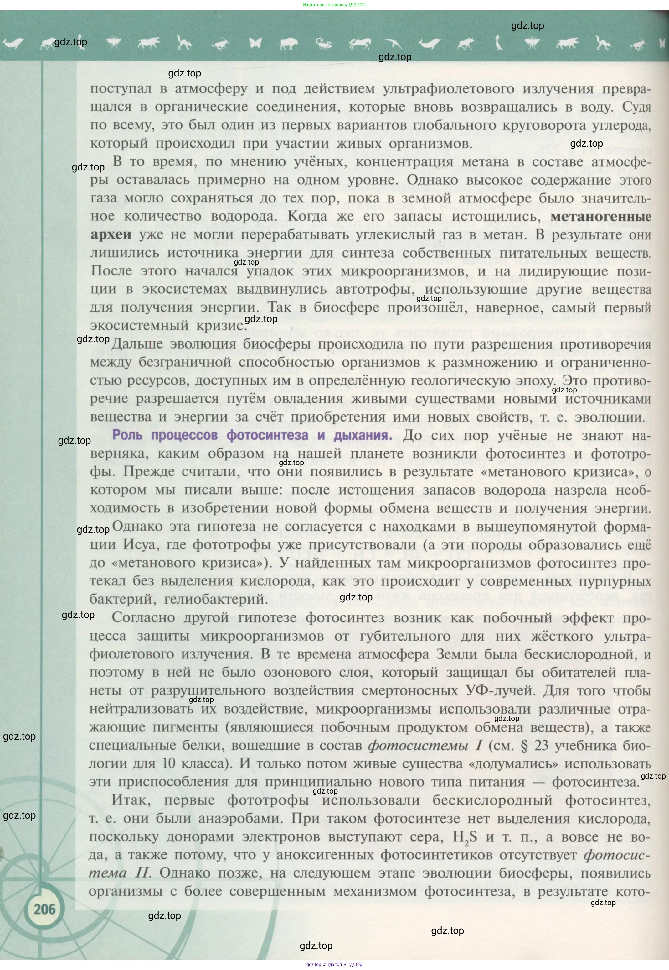 Биология, 11 класс Учебник, авторы: Пасечник Владимир Васильевич, Каменский Андрей Александрович, Рубцов Александр Михайлович, Швецов Глеб Геннадьевич, Гапонюк Зоя Георгиевна, издательство Просвещение, Москва, 2018, страница 206