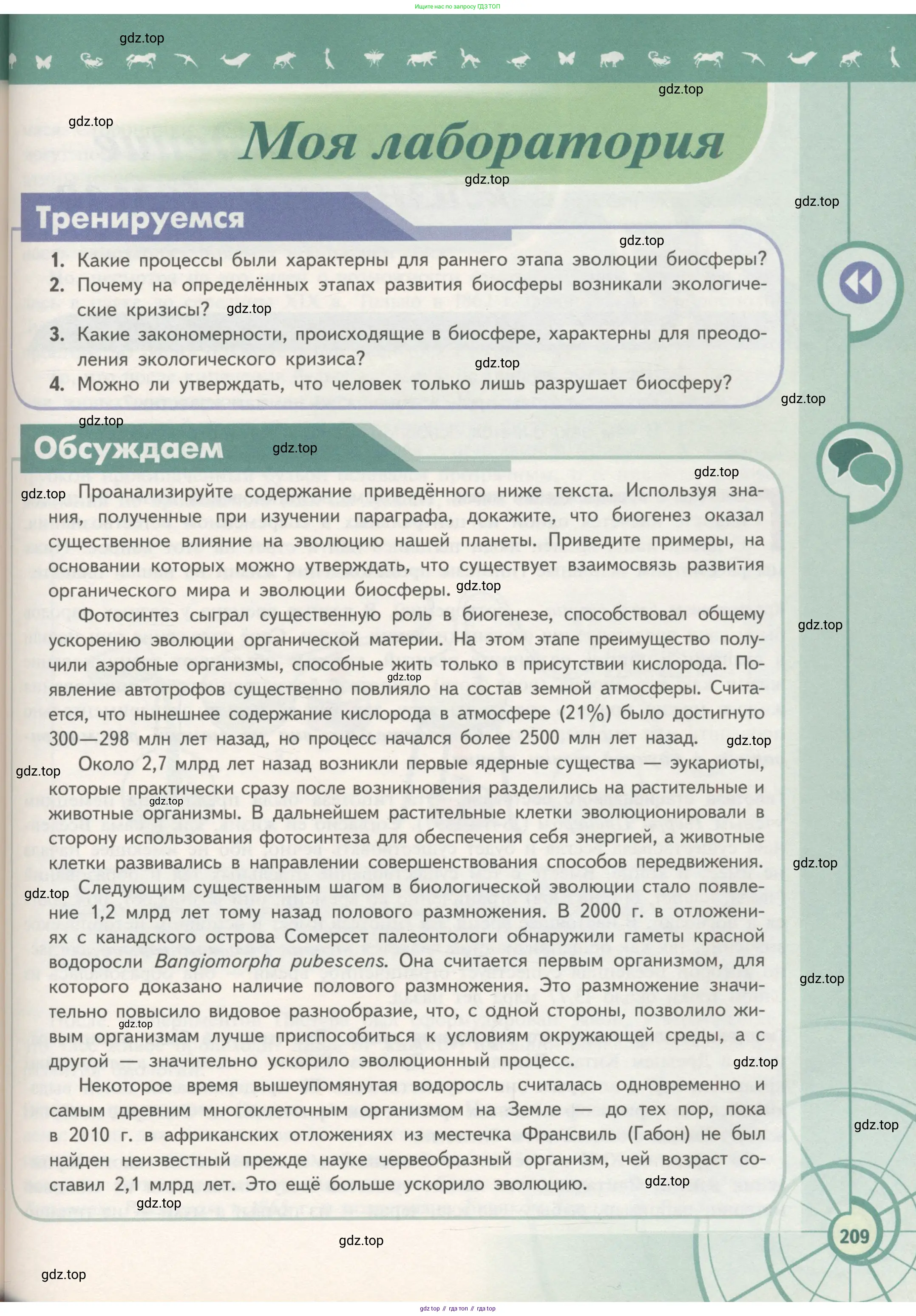 Биология, 11 класс Учебник, авторы: Пасечник Владимир Васильевич, Каменский Андрей Александрович, Рубцов Александр Михайлович, Швецов Глеб Геннадьевич, Гапонюк Зоя Георгиевна, издательство Просвещение, Москва, 2018, страница 209