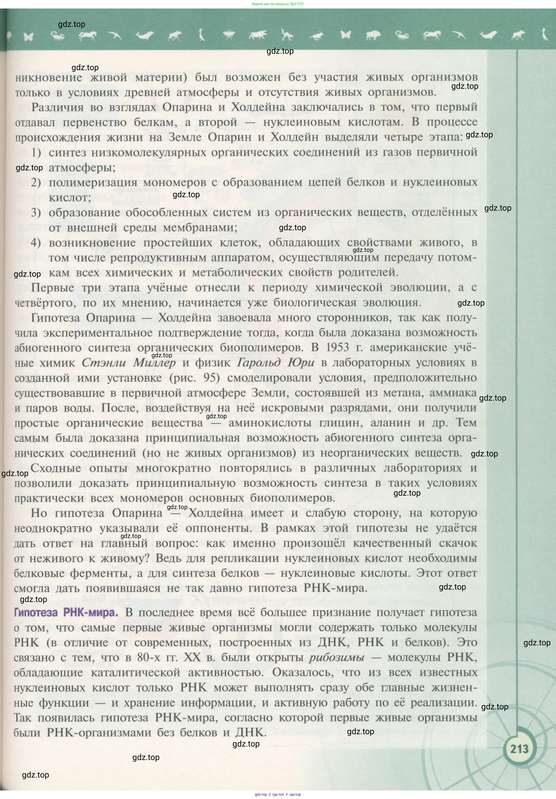 Биология, 11 класс Учебник, авторы: Пасечник Владимир Васильевич, Каменский Андрей Александрович, Рубцов Александр Михайлович, Швецов Глеб Геннадьевич, Гапонюк Зоя Георгиевна, издательство Просвещение, Москва, 2018, страница 213