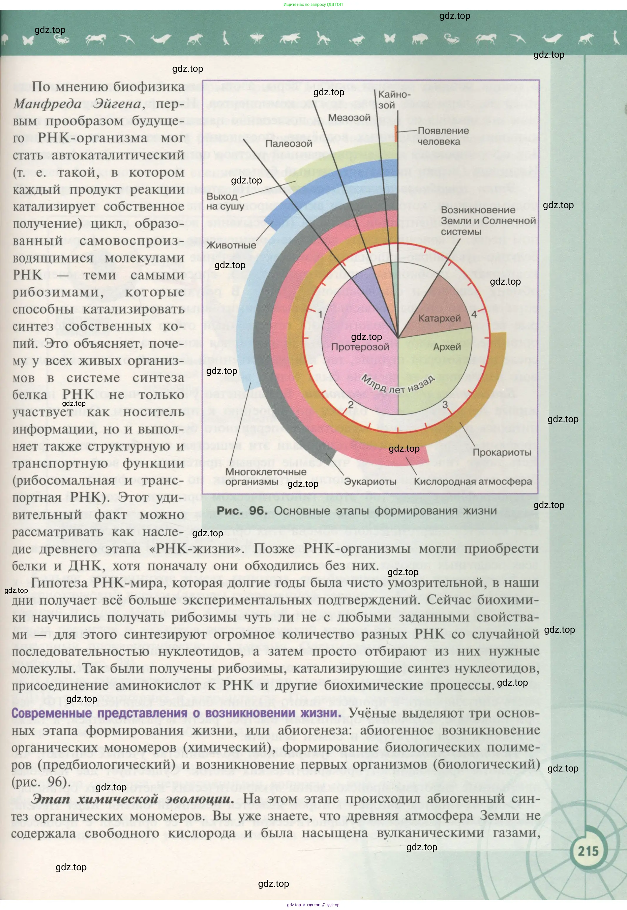 Биология, 11 класс Учебник, авторы: Пасечник Владимир Васильевич, Каменский Андрей Александрович, Рубцов Александр Михайлович, Швецов Глеб Геннадьевич, Гапонюк Зоя Георгиевна, издательство Просвещение, Москва, 2018, страница 215
