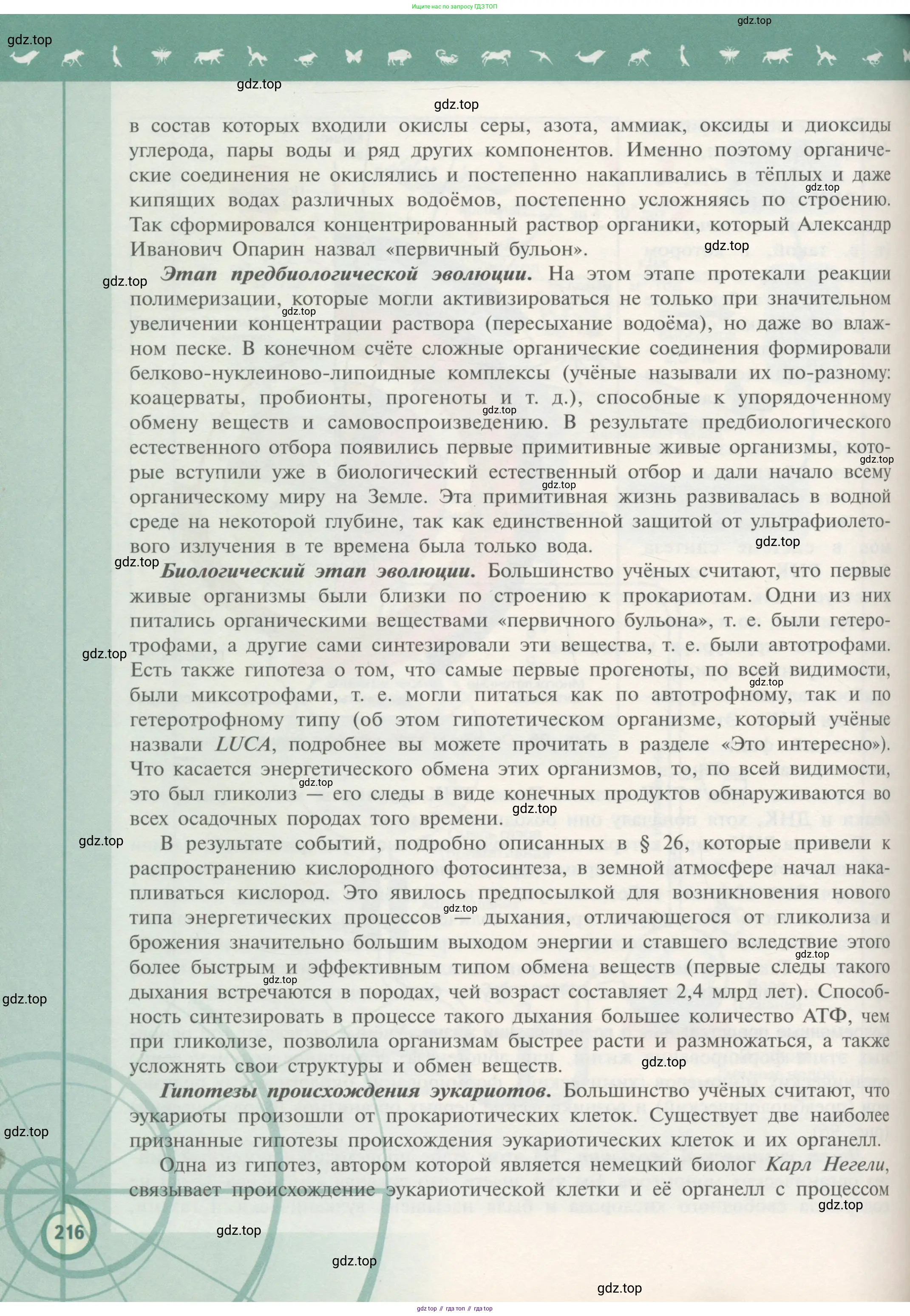 Биология, 11 класс Учебник, авторы: Пасечник Владимир Васильевич, Каменский Андрей Александрович, Рубцов Александр Михайлович, Швецов Глеб Геннадьевич, Гапонюк Зоя Георгиевна, издательство Просвещение, Москва, 2018, страница 216
