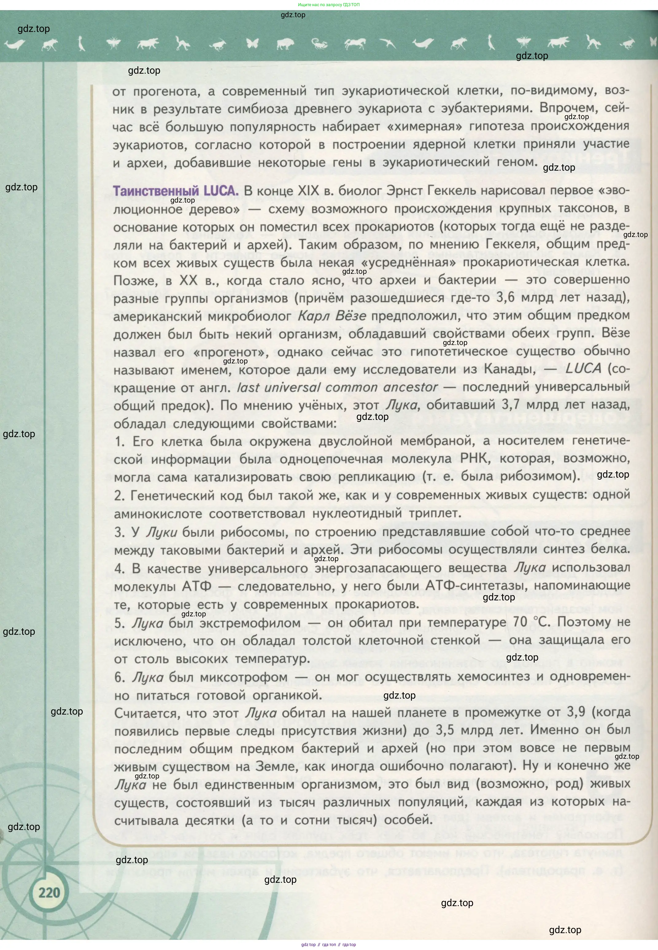 Биология, 11 класс Учебник, авторы: Пасечник Владимир Васильевич, Каменский Андрей Александрович, Рубцов Александр Михайлович, Швецов Глеб Геннадьевич, Гапонюк Зоя Георгиевна, издательство Просвещение, Москва, 2018, страница 220