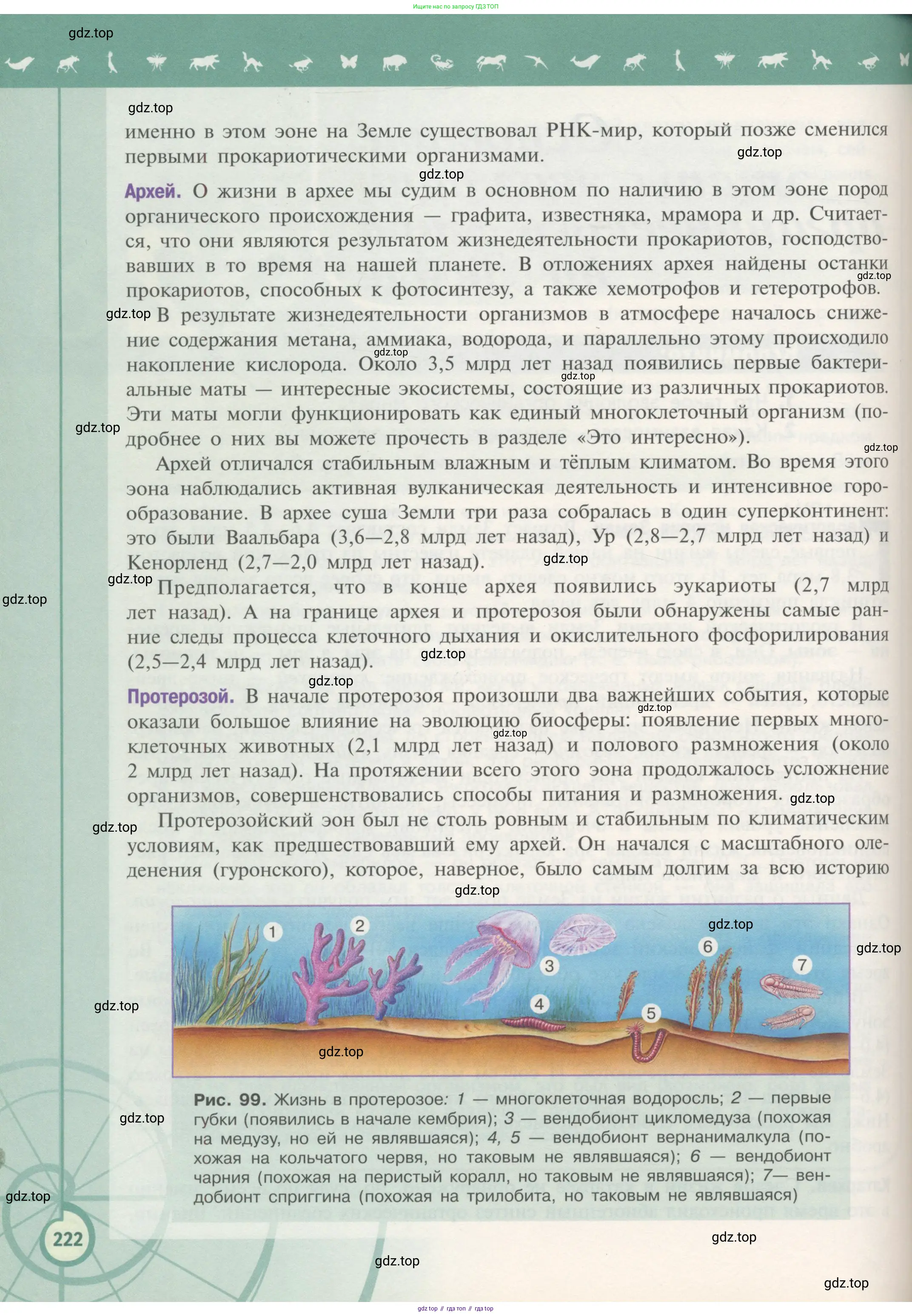 Биология, 11 класс Учебник, авторы: Пасечник Владимир Васильевич, Каменский Андрей Александрович, Рубцов Александр Михайлович, Швецов Глеб Геннадьевич, Гапонюк Зоя Георгиевна, издательство Просвещение, Москва, 2018, страница 222