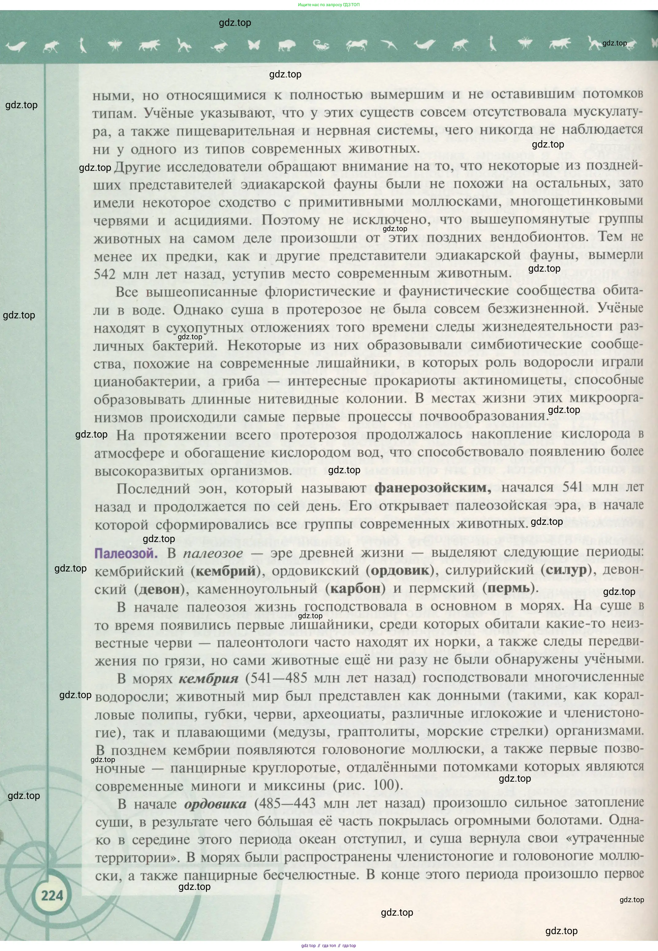 Биология, 11 класс Учебник, авторы: Пасечник Владимир Васильевич, Каменский Андрей Александрович, Рубцов Александр Михайлович, Швецов Глеб Геннадьевич, Гапонюк Зоя Георгиевна, издательство Просвещение, Москва, 2018, страница 224