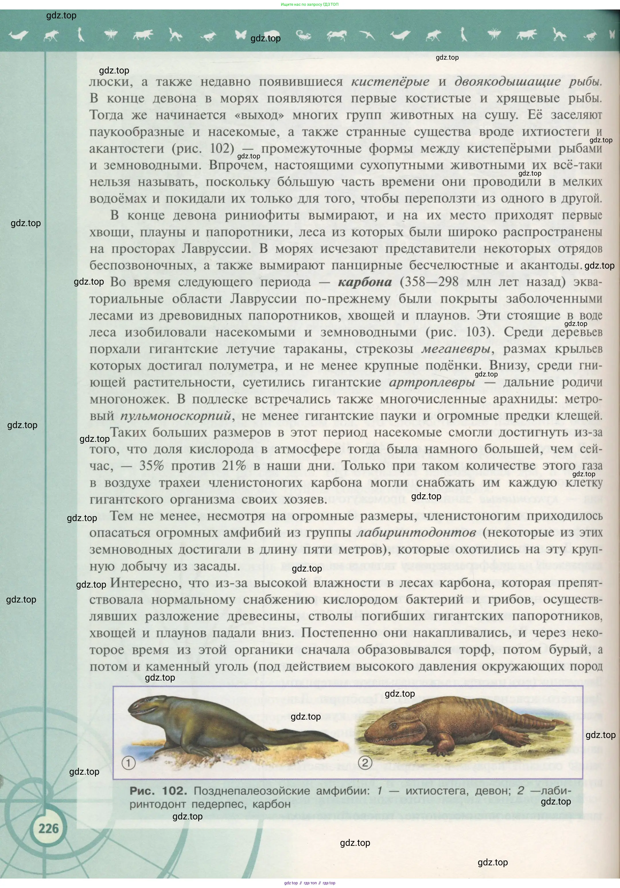 Биология, 11 класс Учебник, авторы: Пасечник Владимир Васильевич, Каменский Андрей Александрович, Рубцов Александр Михайлович, Швецов Глеб Геннадьевич, Гапонюк Зоя Георгиевна, издательство Просвещение, Москва, 2018, страница 226