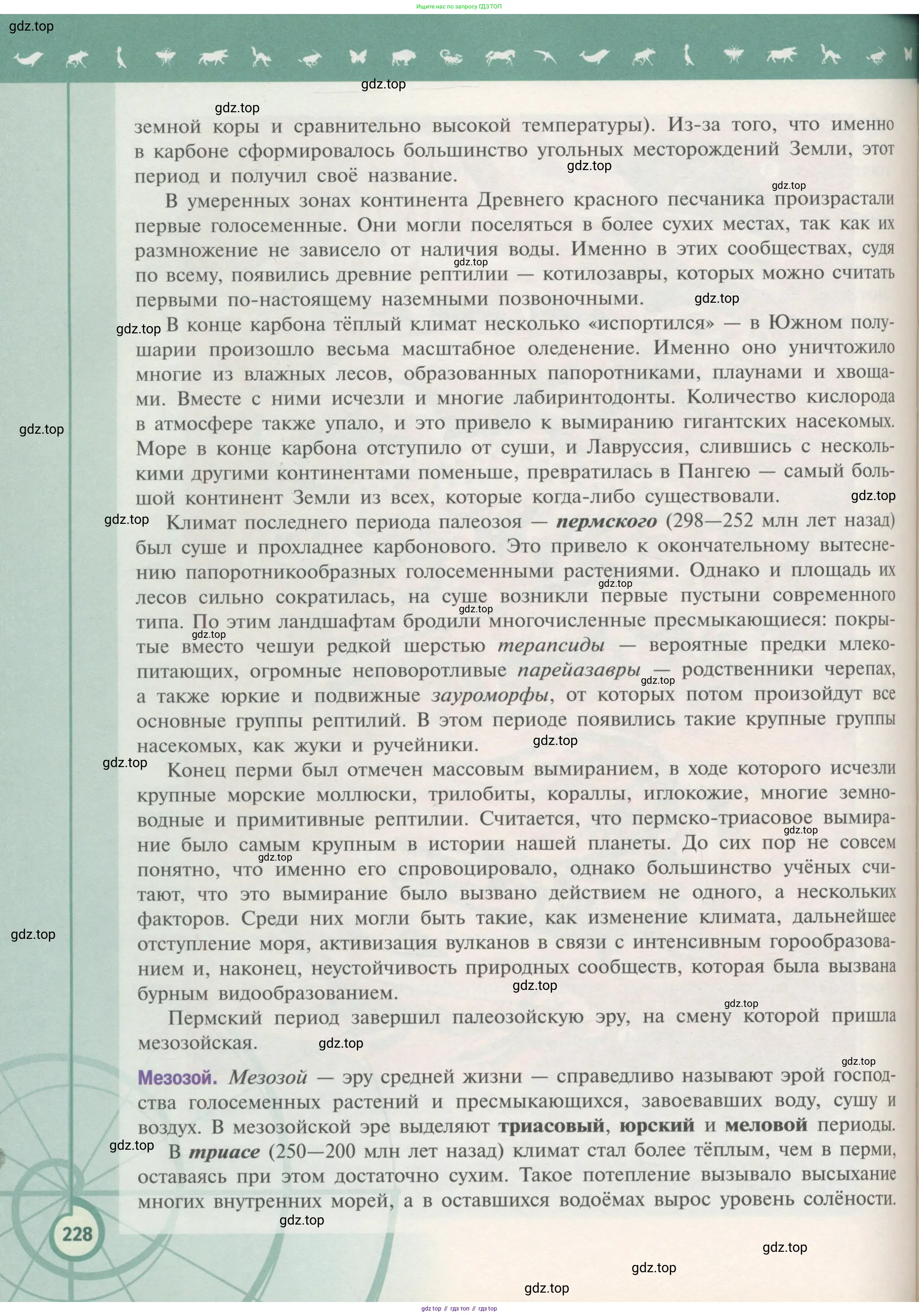 Биология, 11 класс Учебник, авторы: Пасечник Владимир Васильевич, Каменский Андрей Александрович, Рубцов Александр Михайлович, Швецов Глеб Геннадьевич, Гапонюк Зоя Георгиевна, издательство Просвещение, Москва, 2018, страница 228