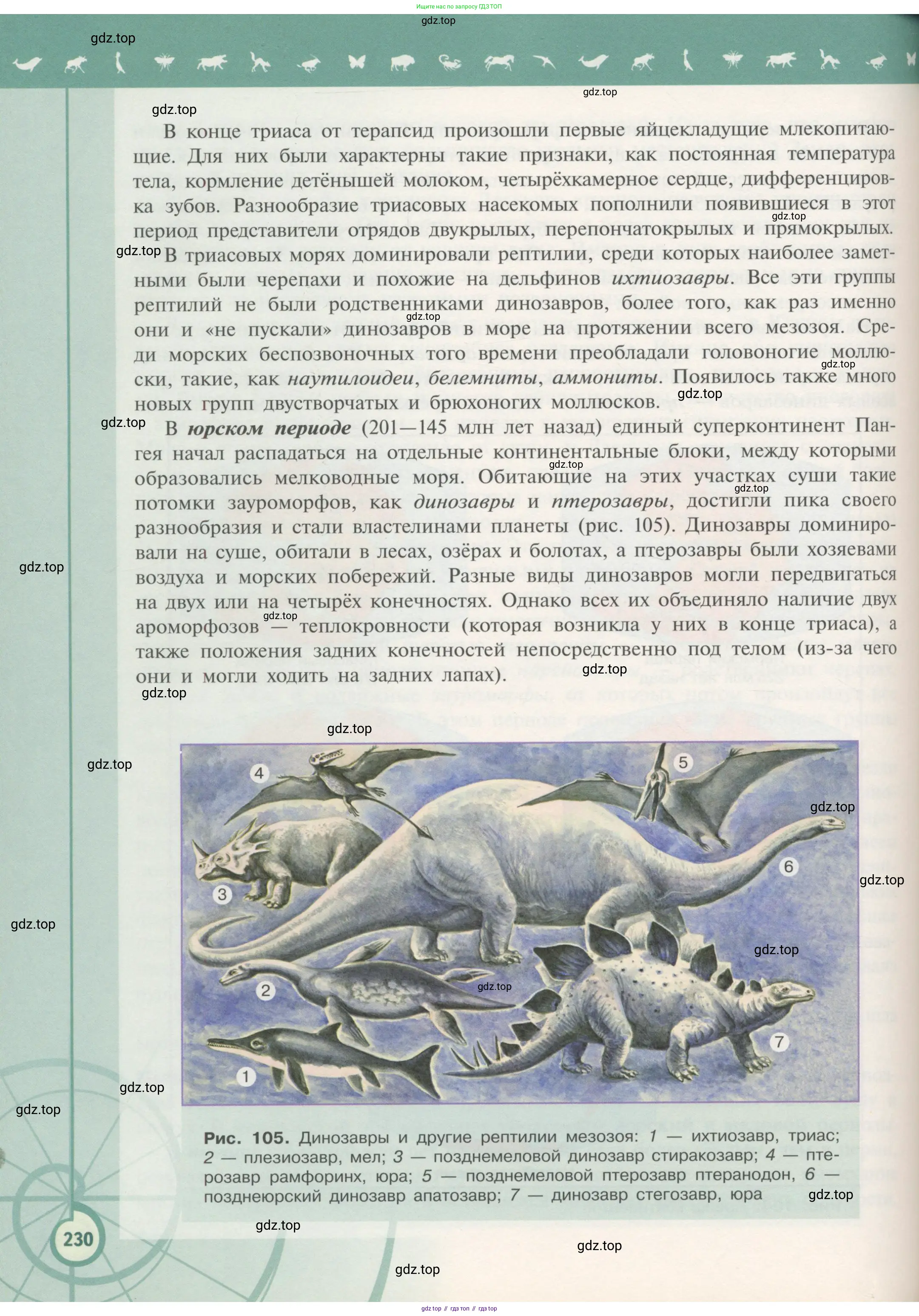 Биология, 11 класс Учебник, авторы: Пасечник Владимир Васильевич, Каменский Андрей Александрович, Рубцов Александр Михайлович, Швецов Глеб Геннадьевич, Гапонюк Зоя Георгиевна, издательство Просвещение, Москва, 2018, страница 230