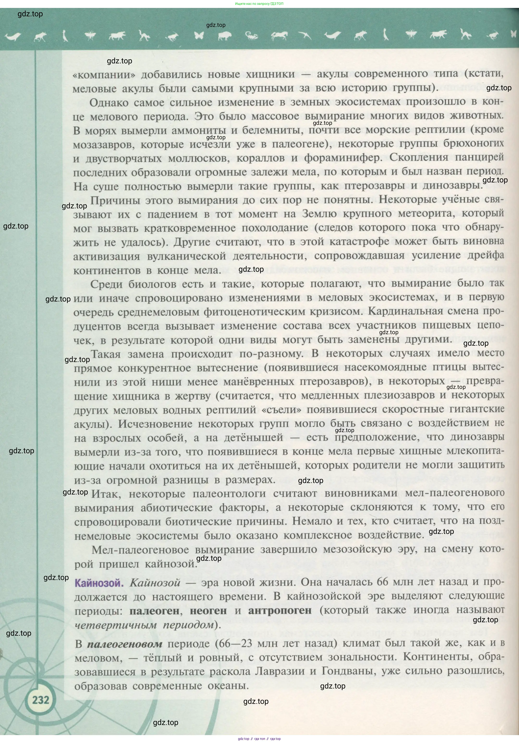 Биология, 11 класс Учебник, авторы: Пасечник Владимир Васильевич, Каменский Андрей Александрович, Рубцов Александр Михайлович, Швецов Глеб Геннадьевич, Гапонюк Зоя Георгиевна, издательство Просвещение, Москва, 2018, страница 232