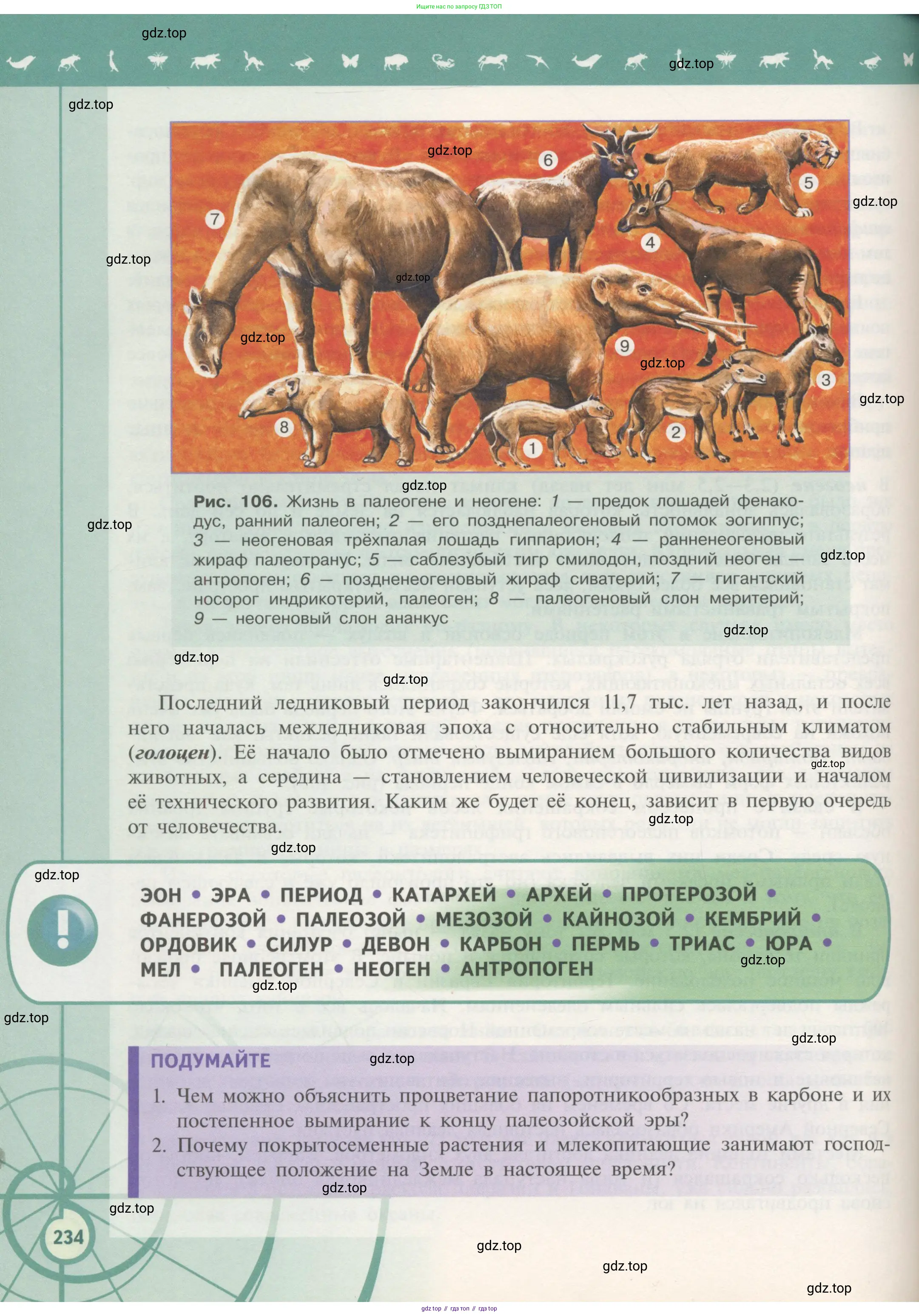 Биология, 11 класс Учебник, авторы: Пасечник Владимир Васильевич, Каменский Андрей Александрович, Рубцов Александр Михайлович, Швецов Глеб Геннадьевич, Гапонюк Зоя Георгиевна, издательство Просвещение, Москва, 2018, страница 234