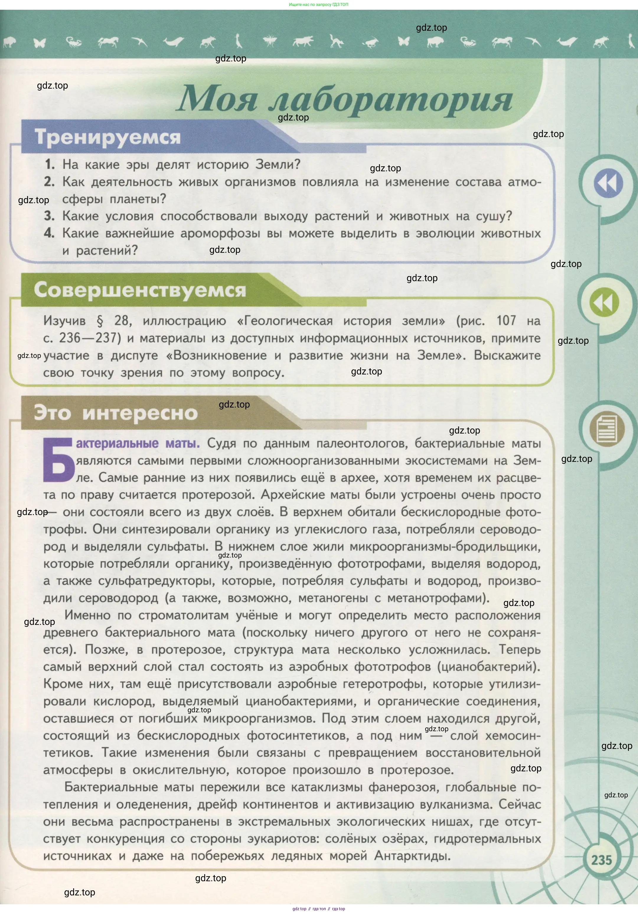 Биология, 11 класс Учебник, авторы: Пасечник Владимир Васильевич, Каменский Андрей Александрович, Рубцов Александр Михайлович, Швецов Глеб Геннадьевич, Гапонюк Зоя Георгиевна, издательство Просвещение, Москва, 2018, страница 235