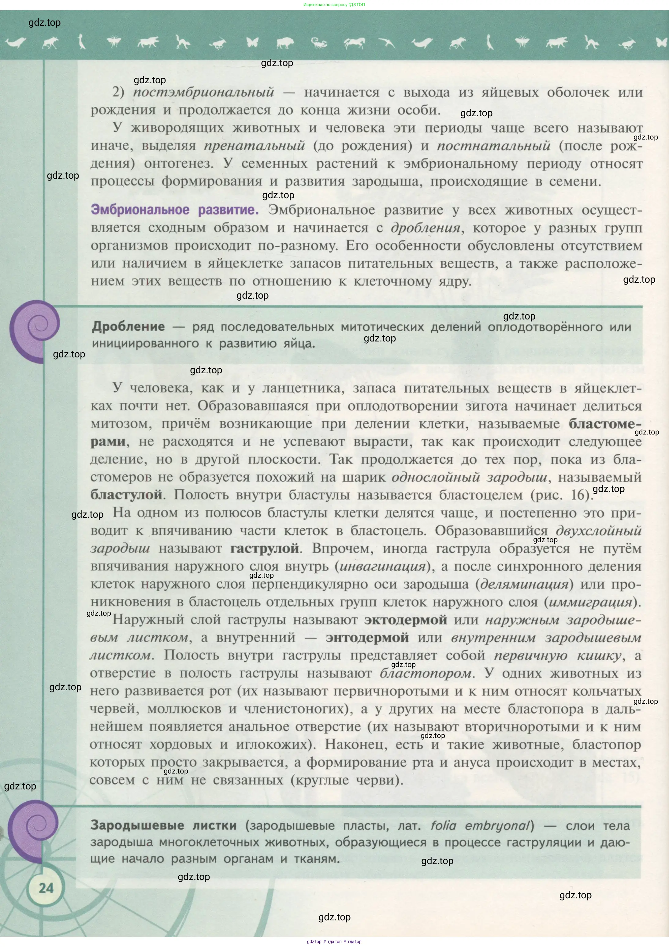 Биология, 11 класс Учебник, авторы: Пасечник Владимир Васильевич, Каменский Андрей Александрович, Рубцов Александр Михайлович, Швецов Глеб Геннадьевич, Гапонюк Зоя Георгиевна, издательство Просвещение, Москва, 2018, страница 24