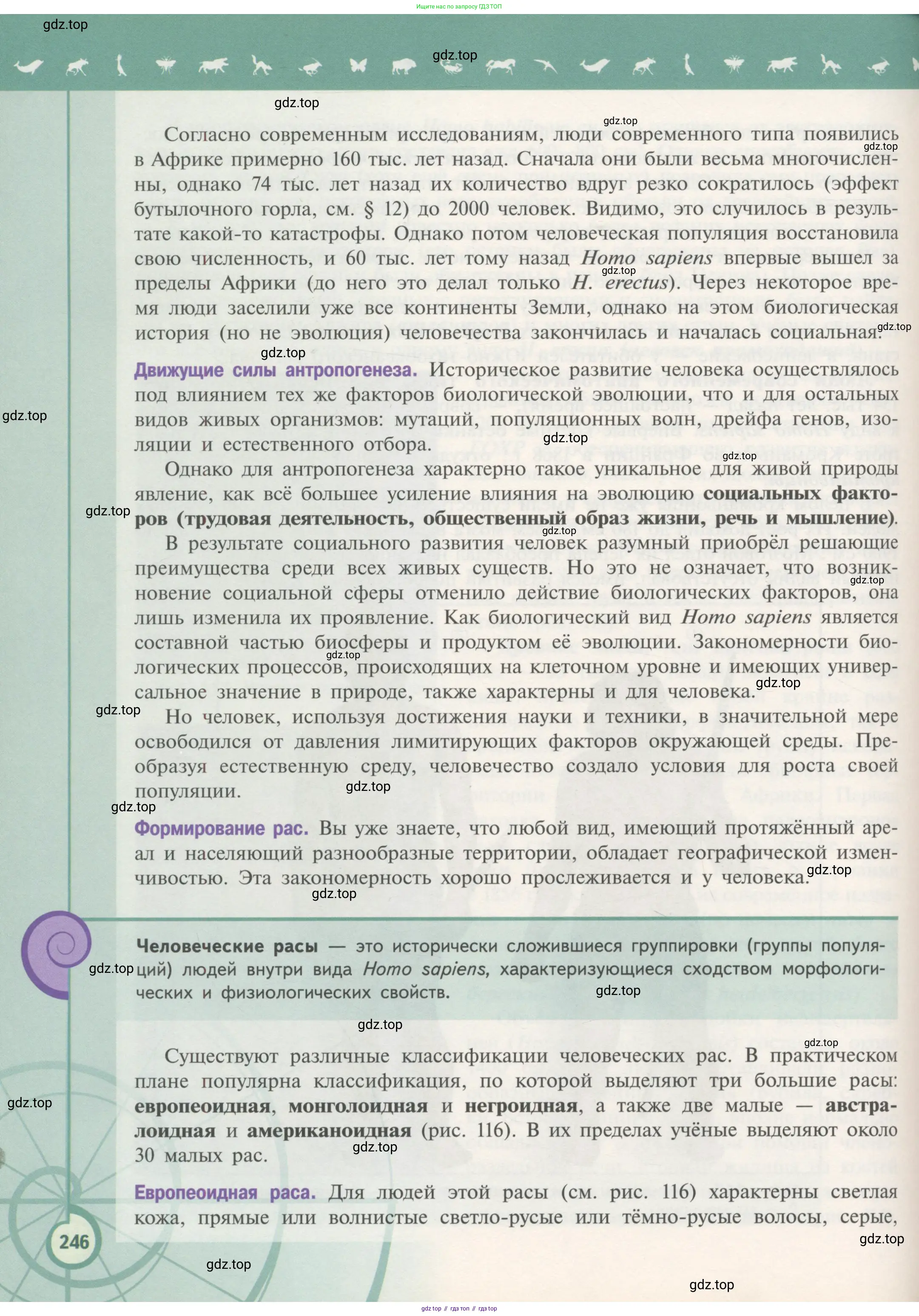 Биология, 11 класс Учебник, авторы: Пасечник Владимир Васильевич, Каменский Андрей Александрович, Рубцов Александр Михайлович, Швецов Глеб Геннадьевич, Гапонюк Зоя Георгиевна, издательство Просвещение, Москва, 2018, страница 246