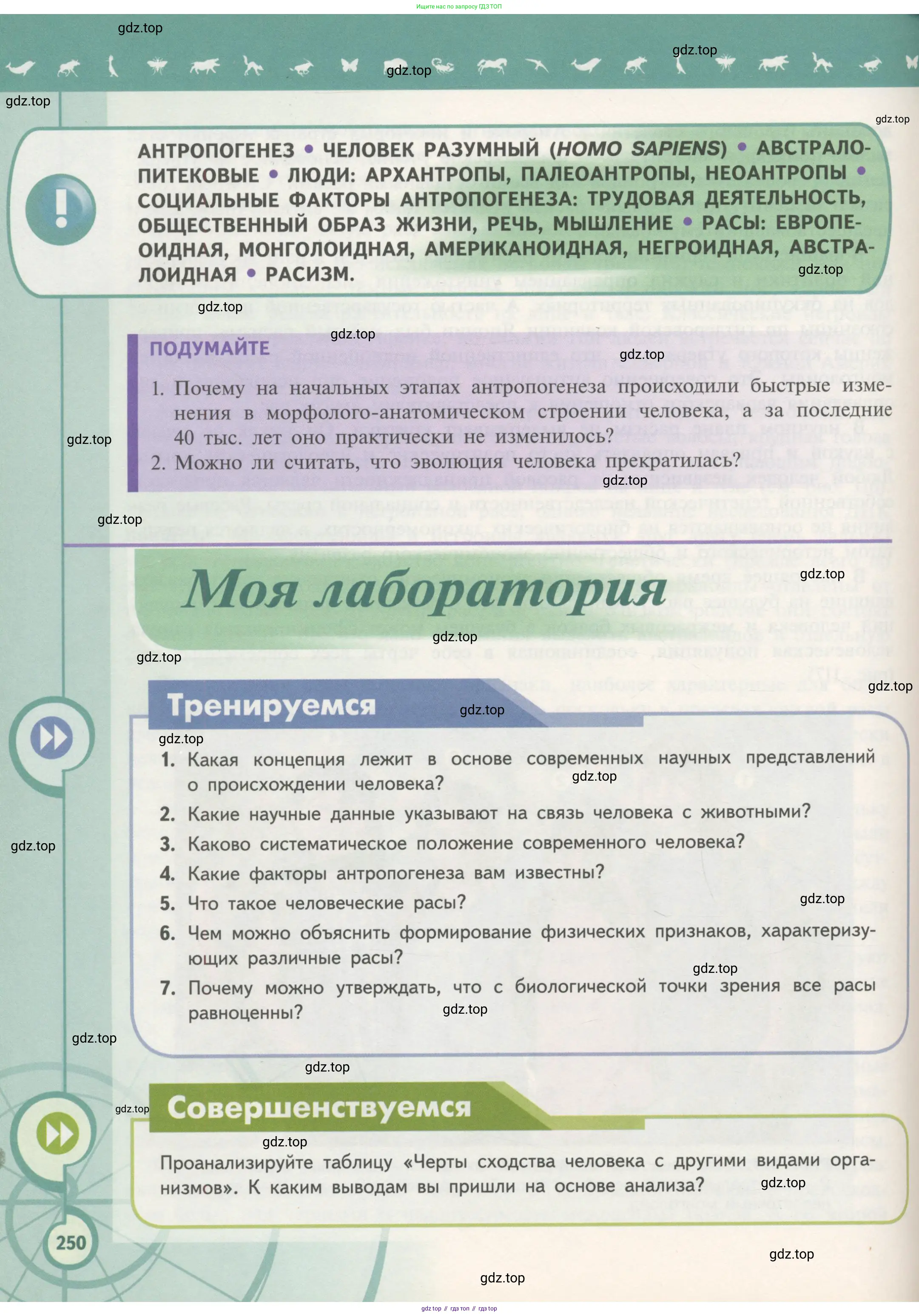 Биология, 11 класс Учебник, авторы: Пасечник Владимир Васильевич, Каменский Андрей Александрович, Рубцов Александр Михайлович, Швецов Глеб Геннадьевич, Гапонюк Зоя Георгиевна, издательство Просвещение, Москва, 2018, страница 250