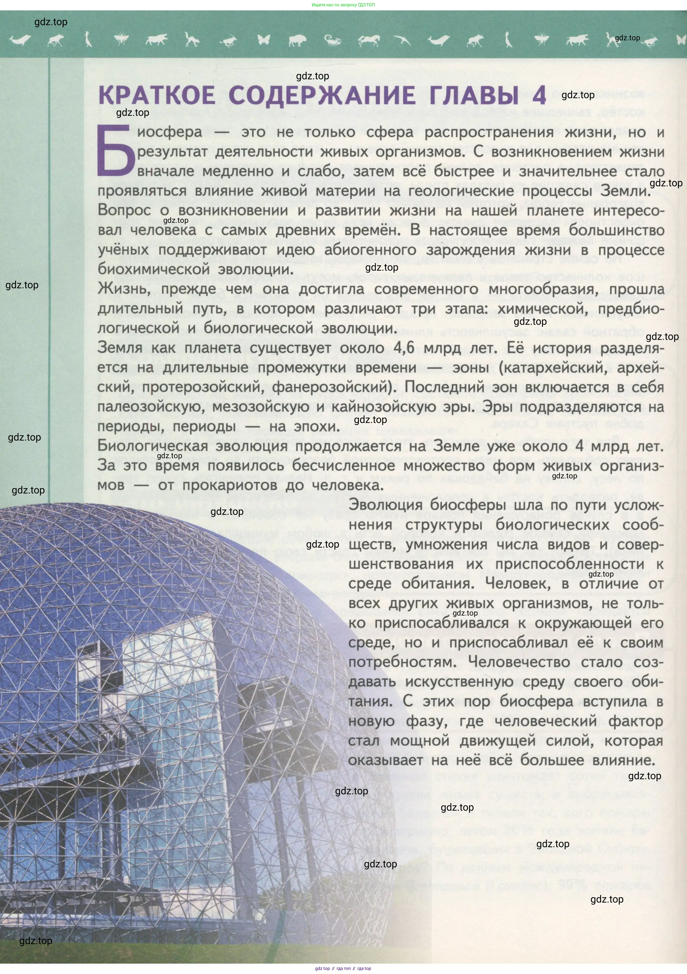 Биология, 11 класс Учебник, авторы: Пасечник Владимир Васильевич, Каменский Андрей Александрович, Рубцов Александр Михайлович, Швецов Глеб Геннадьевич, Гапонюк Зоя Георгиевна, издательство Просвещение, Москва, 2018, страница 258