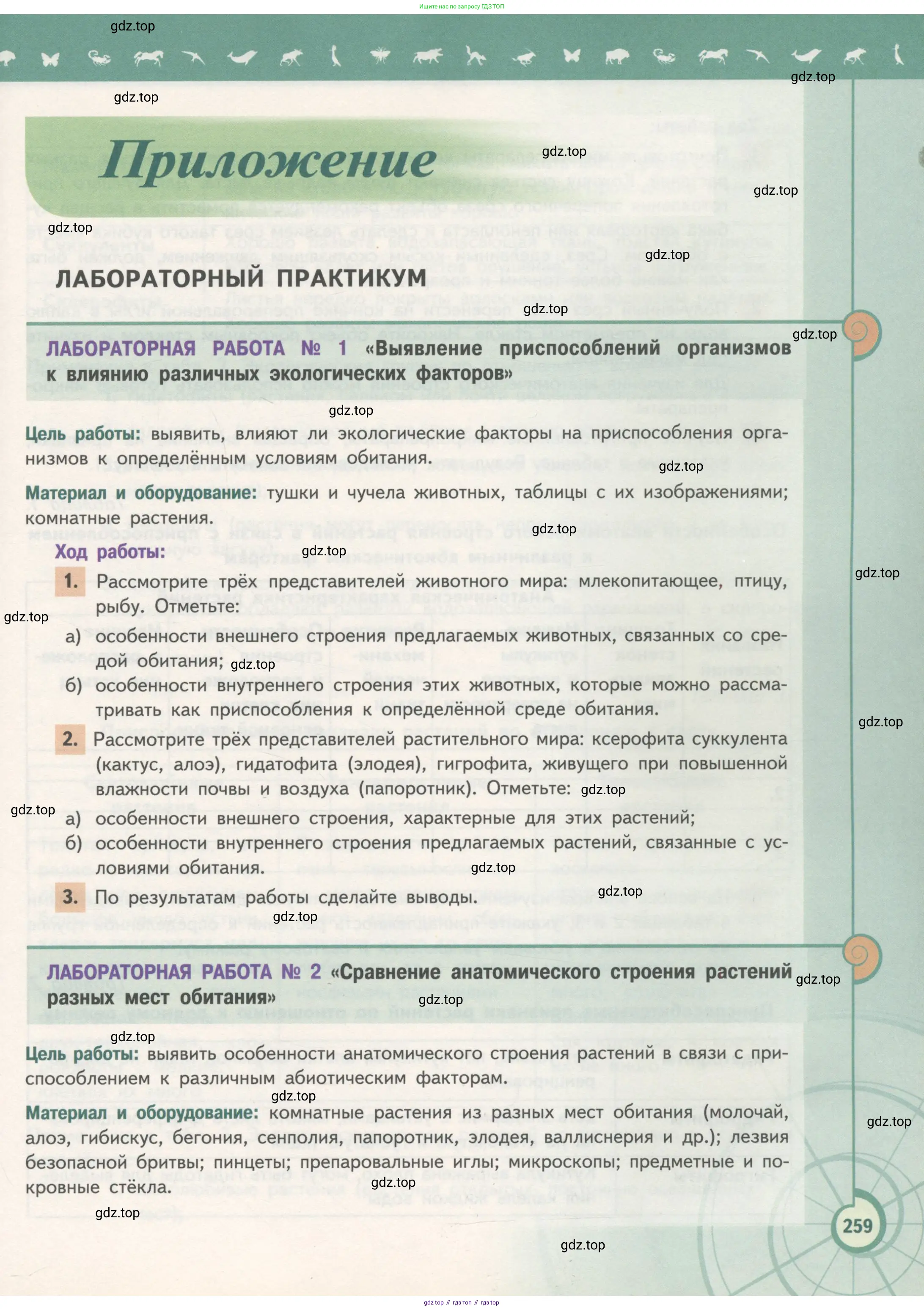 Биология, 11 класс Учебник, авторы: Пасечник Владимир Васильевич, Каменский Андрей Александрович, Рубцов Александр Михайлович, Швецов Глеб Геннадьевич, Гапонюк Зоя Георгиевна, издательство Просвещение, Москва, 2018, страница 259