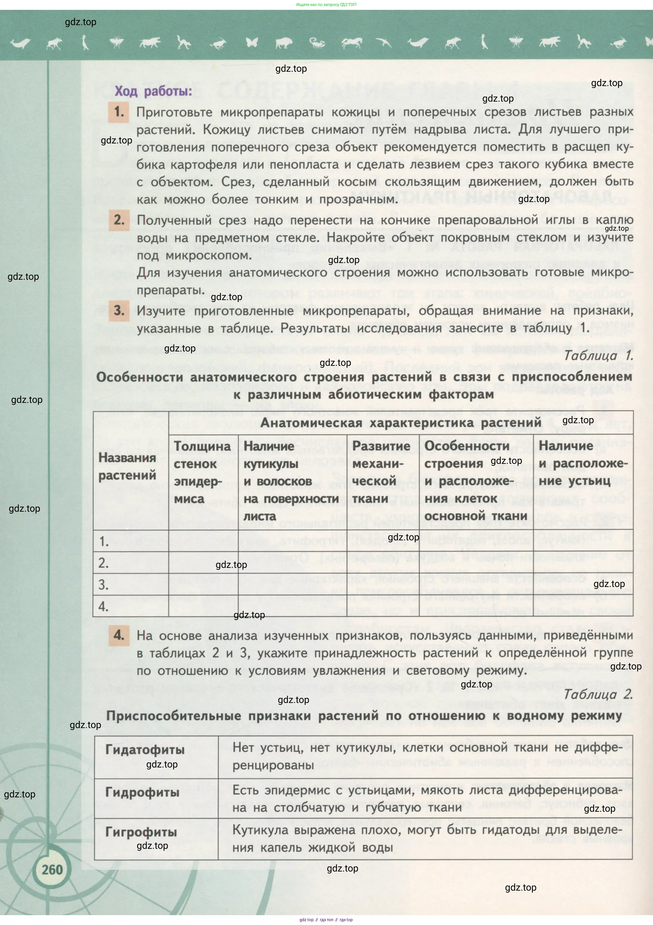 Биология, 11 класс Учебник, авторы: Пасечник Владимир Васильевич, Каменский Андрей Александрович, Рубцов Александр Михайлович, Швецов Глеб Геннадьевич, Гапонюк Зоя Георгиевна, издательство Просвещение, Москва, 2018, страница 260