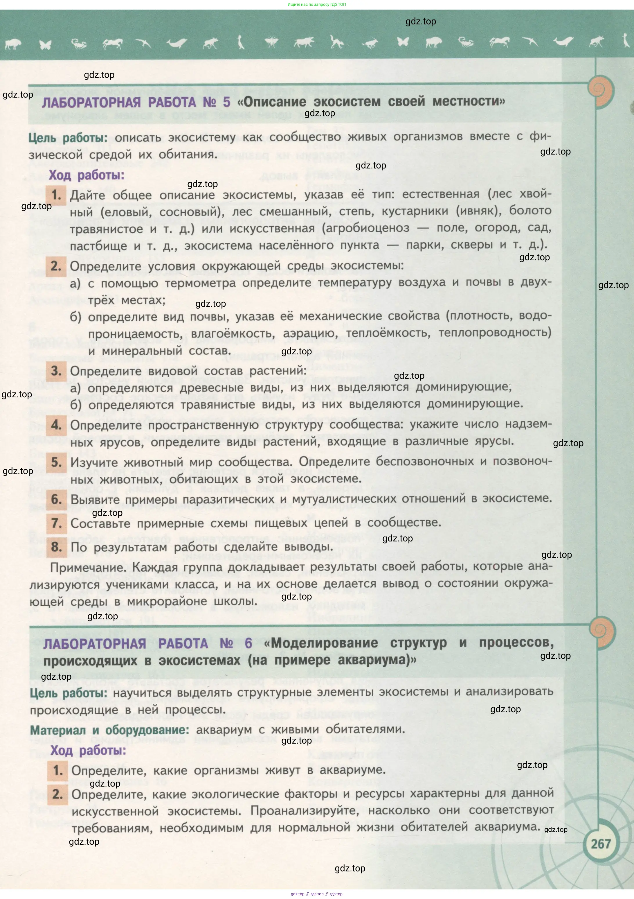 Биология, 11 класс Учебник, авторы: Пасечник Владимир Васильевич, Каменский Андрей Александрович, Рубцов Александр Михайлович, Швецов Глеб Геннадьевич, Гапонюк Зоя Георгиевна, издательство Просвещение, Москва, 2018, страница 267