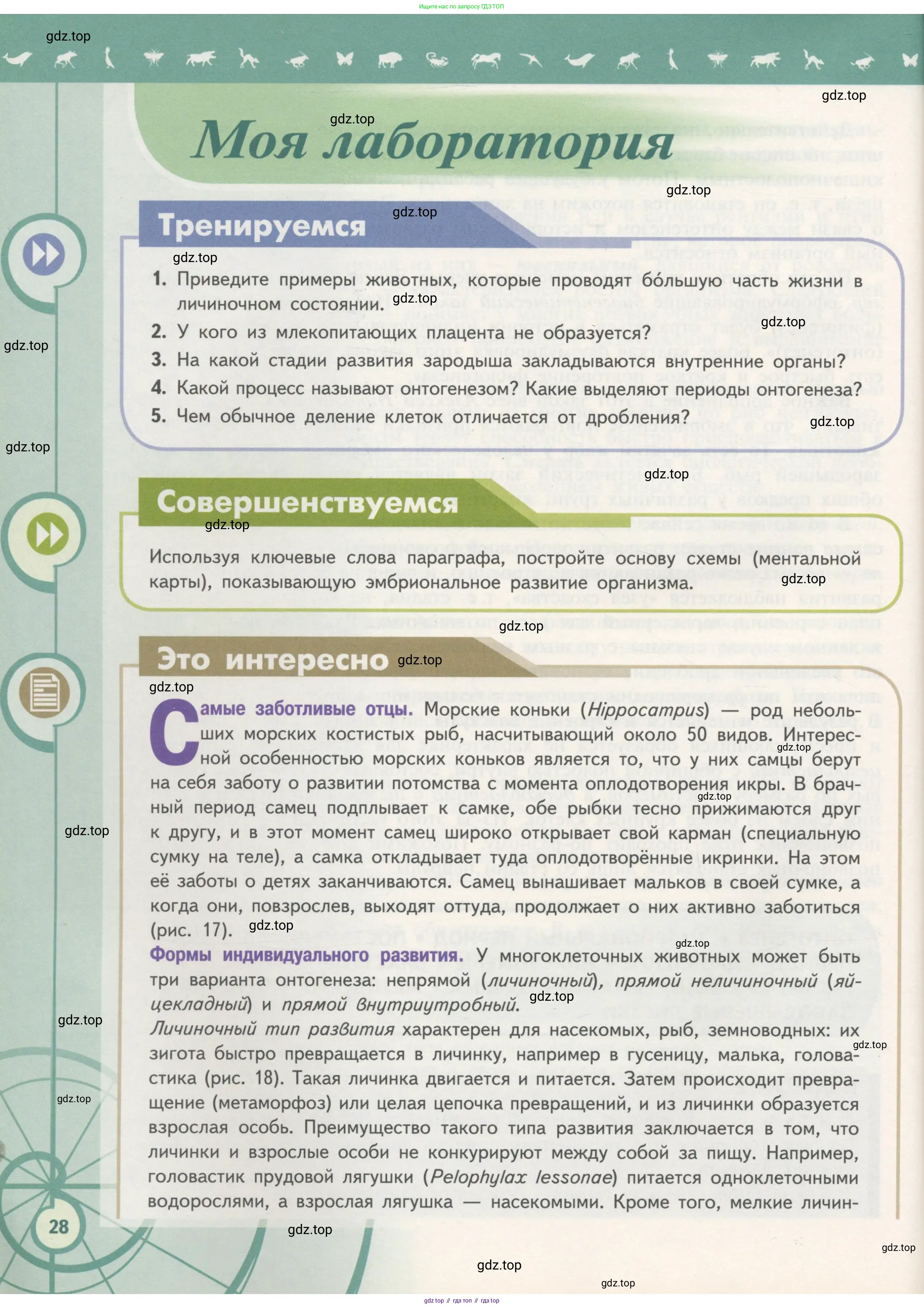 Биология, 11 класс Учебник, авторы: Пасечник Владимир Васильевич, Каменский Андрей Александрович, Рубцов Александр Михайлович, Швецов Глеб Геннадьевич, Гапонюк Зоя Георгиевна, издательство Просвещение, Москва, 2018, страница 28