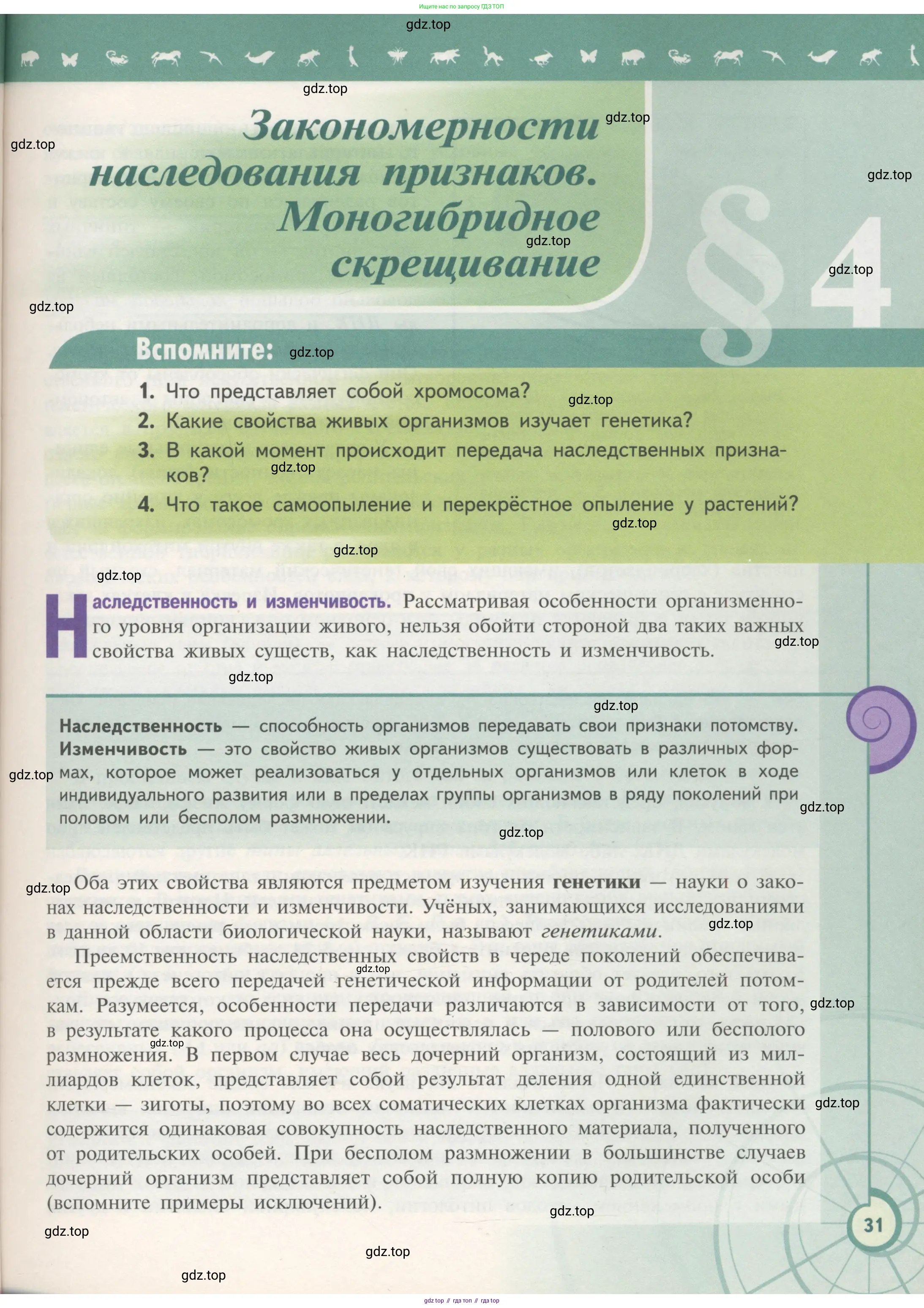 Биология, 11 класс Учебник, авторы: Пасечник Владимир Васильевич, Каменский Андрей Александрович, Рубцов Александр Михайлович, Швецов Глеб Геннадьевич, Гапонюк Зоя Георгиевна, издательство Просвещение, Москва, 2018, страница 31