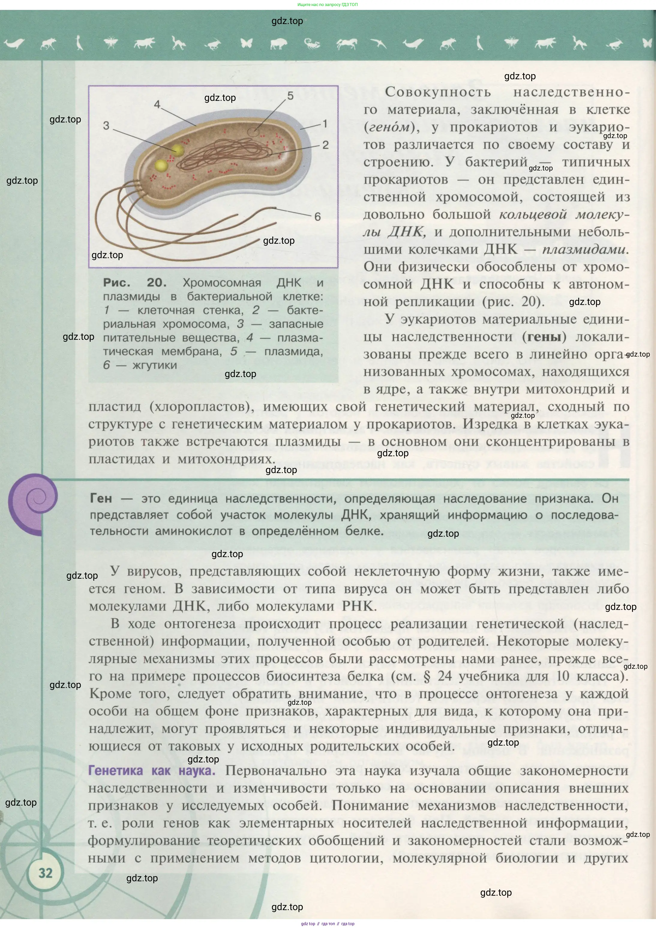 Биология, 11 класс Учебник, авторы: Пасечник Владимир Васильевич, Каменский Андрей Александрович, Рубцов Александр Михайлович, Швецов Глеб Геннадьевич, Гапонюк Зоя Георгиевна, издательство Просвещение, Москва, 2018, страница 32