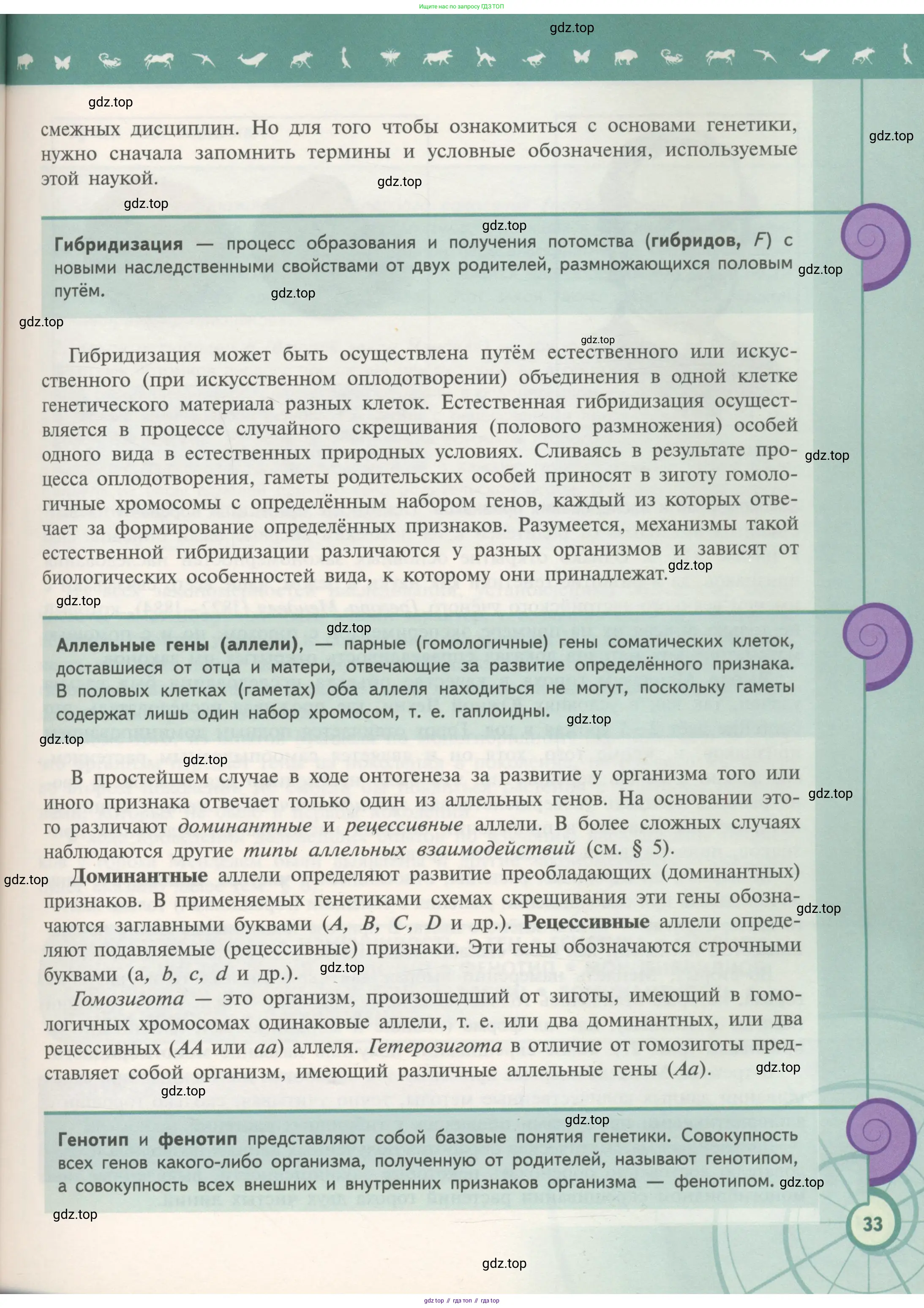 Биология, 11 класс Учебник, авторы: Пасечник Владимир Васильевич, Каменский Андрей Александрович, Рубцов Александр Михайлович, Швецов Глеб Геннадьевич, Гапонюк Зоя Георгиевна, издательство Просвещение, Москва, 2018, страница 33