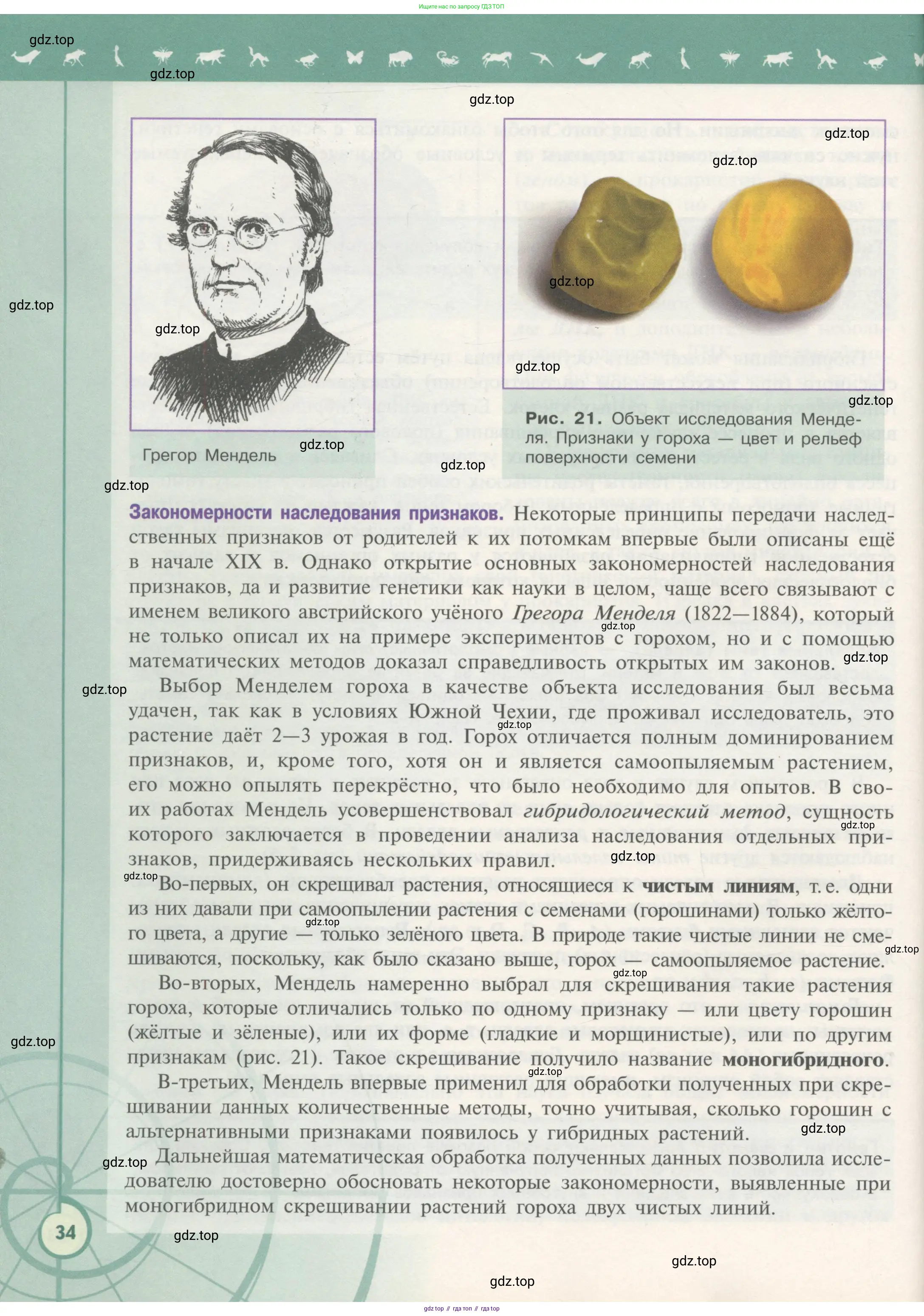 Биология, 11 класс Учебник, авторы: Пасечник Владимир Васильевич, Каменский Андрей Александрович, Рубцов Александр Михайлович, Швецов Глеб Геннадьевич, Гапонюк Зоя Георгиевна, издательство Просвещение, Москва, 2018, страница 34