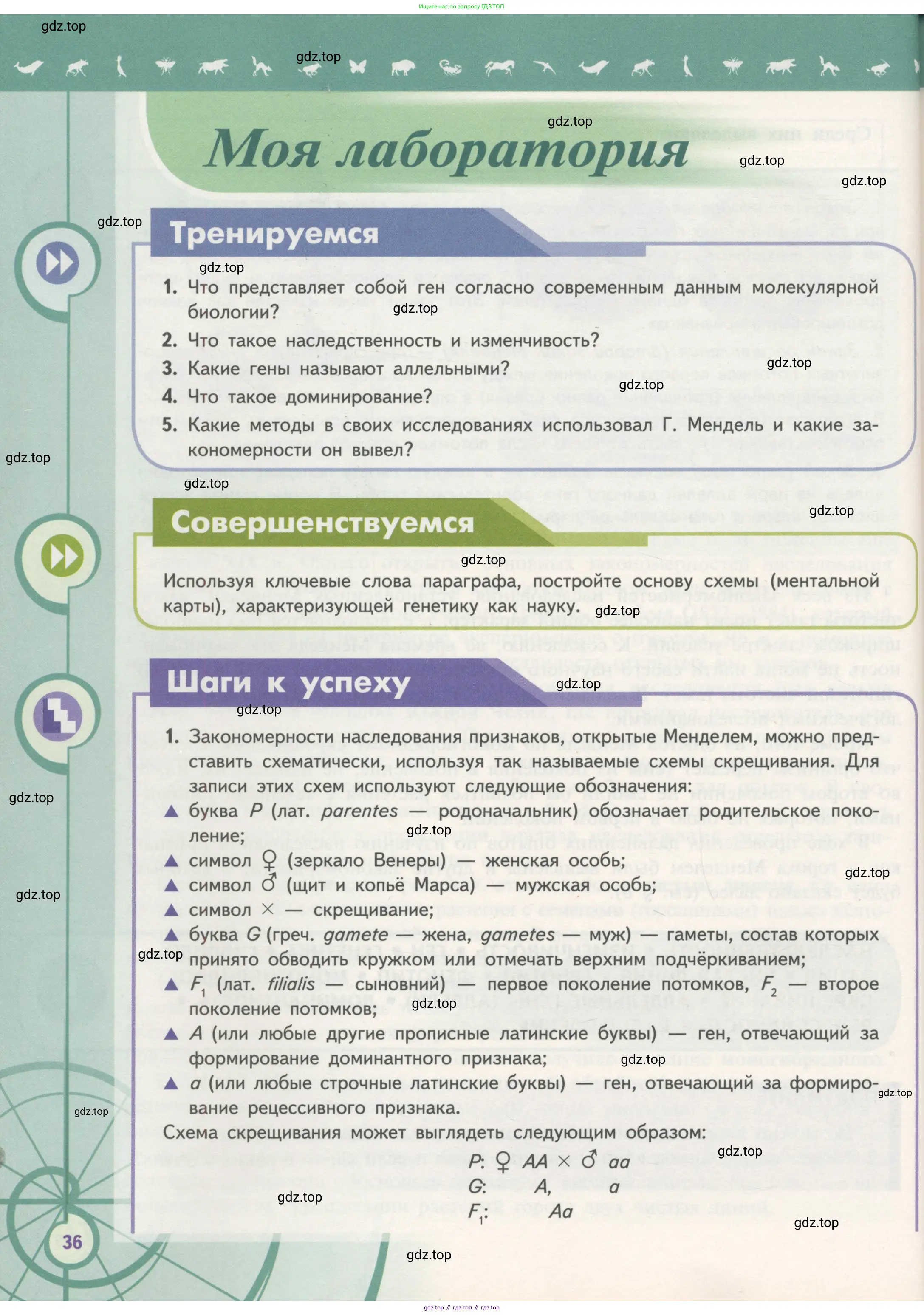 Биология, 11 класс Учебник, авторы: Пасечник Владимир Васильевич, Каменский Андрей Александрович, Рубцов Александр Михайлович, Швецов Глеб Геннадьевич, Гапонюк Зоя Георгиевна, издательство Просвещение, Москва, 2018, страница 36