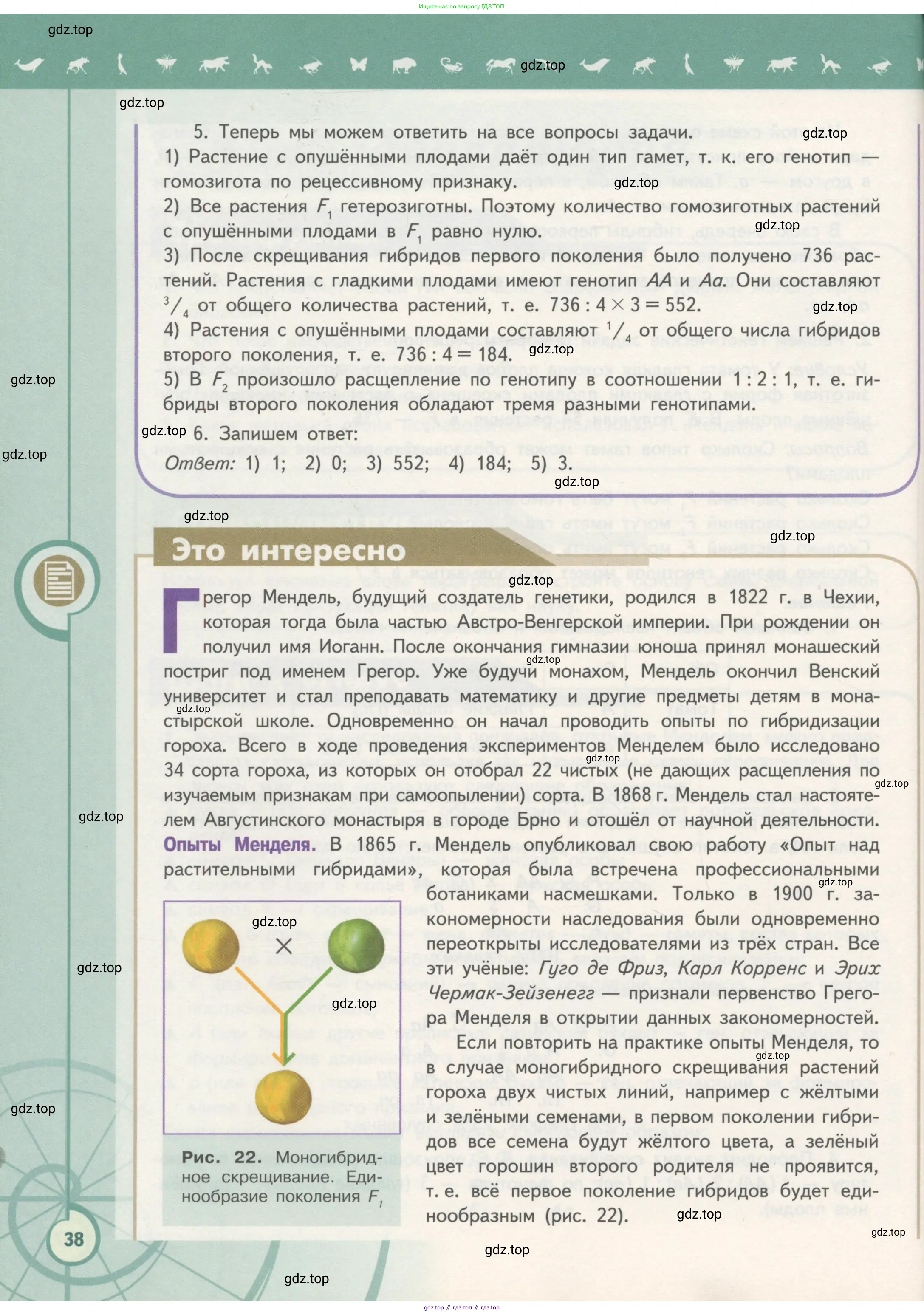 Биология, 11 класс Учебник, авторы: Пасечник Владимир Васильевич, Каменский Андрей Александрович, Рубцов Александр Михайлович, Швецов Глеб Геннадьевич, Гапонюк Зоя Георгиевна, издательство Просвещение, Москва, 2018, страница 38