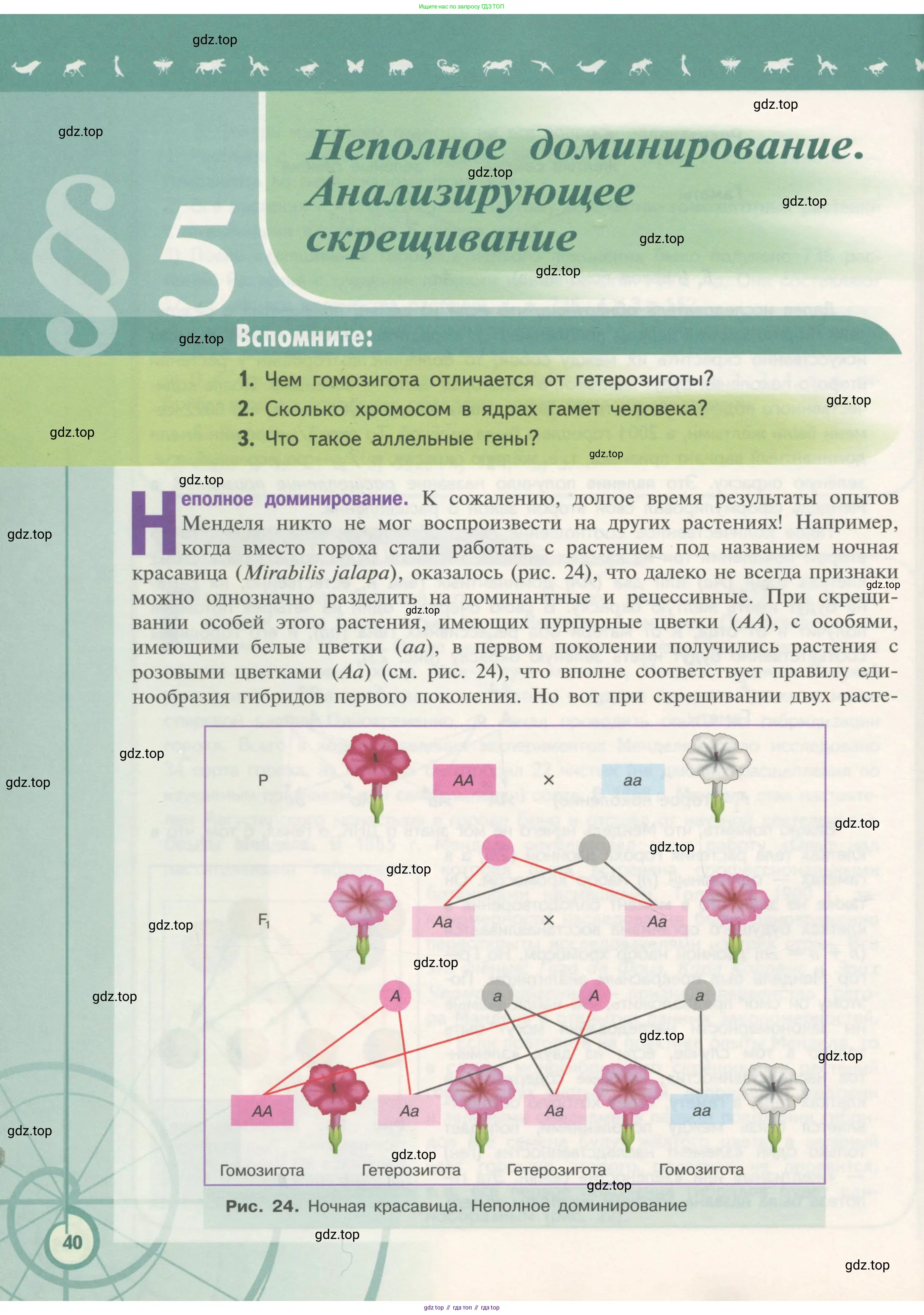 Биология, 11 класс Учебник, авторы: Пасечник Владимир Васильевич, Каменский Андрей Александрович, Рубцов Александр Михайлович, Швецов Глеб Геннадьевич, Гапонюк Зоя Георгиевна, издательство Просвещение, Москва, 2018, страница 40