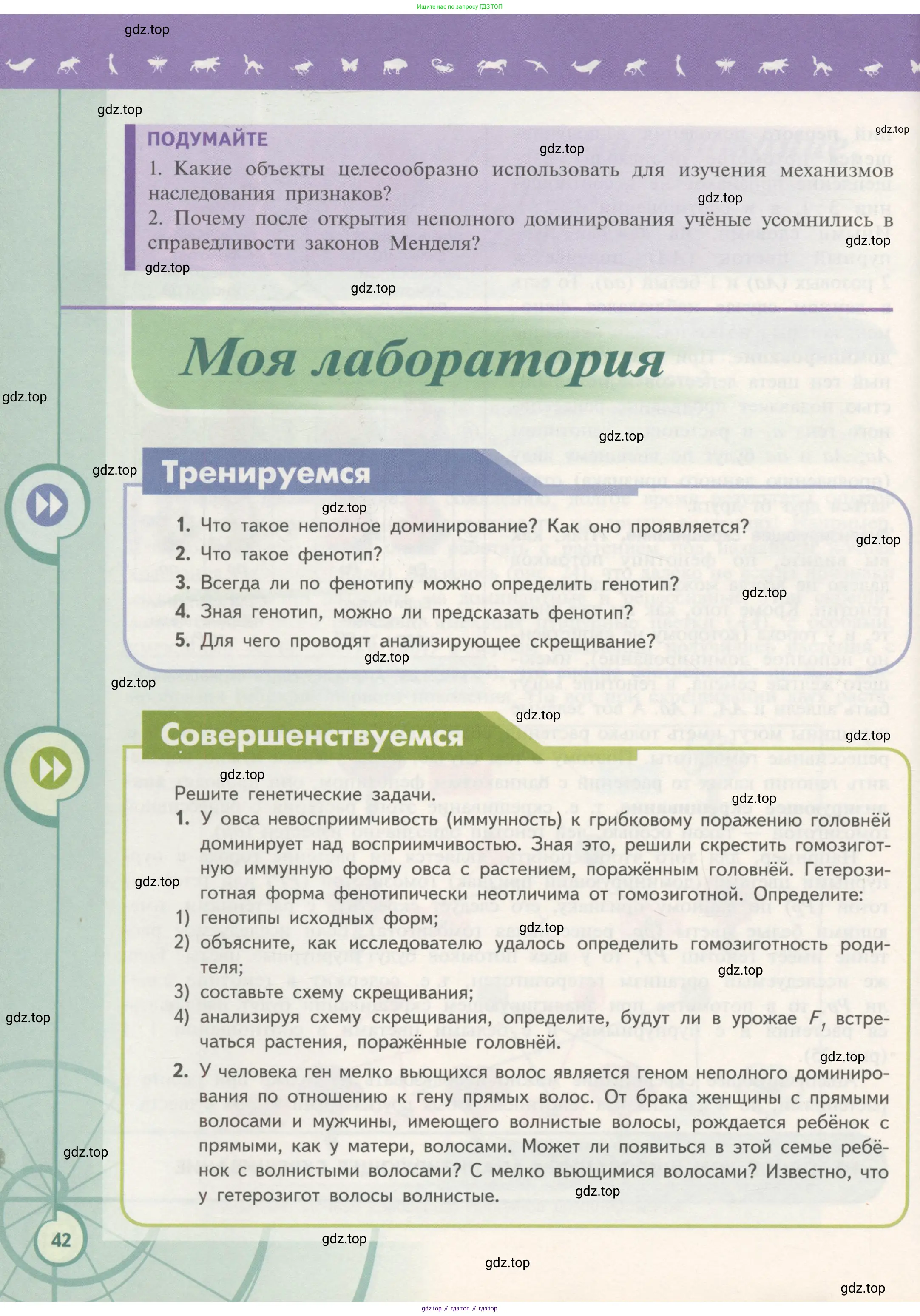 Биология, 11 класс Учебник, авторы: Пасечник Владимир Васильевич, Каменский Андрей Александрович, Рубцов Александр Михайлович, Швецов Глеб Геннадьевич, Гапонюк Зоя Георгиевна, издательство Просвещение, Москва, 2018, страница 42