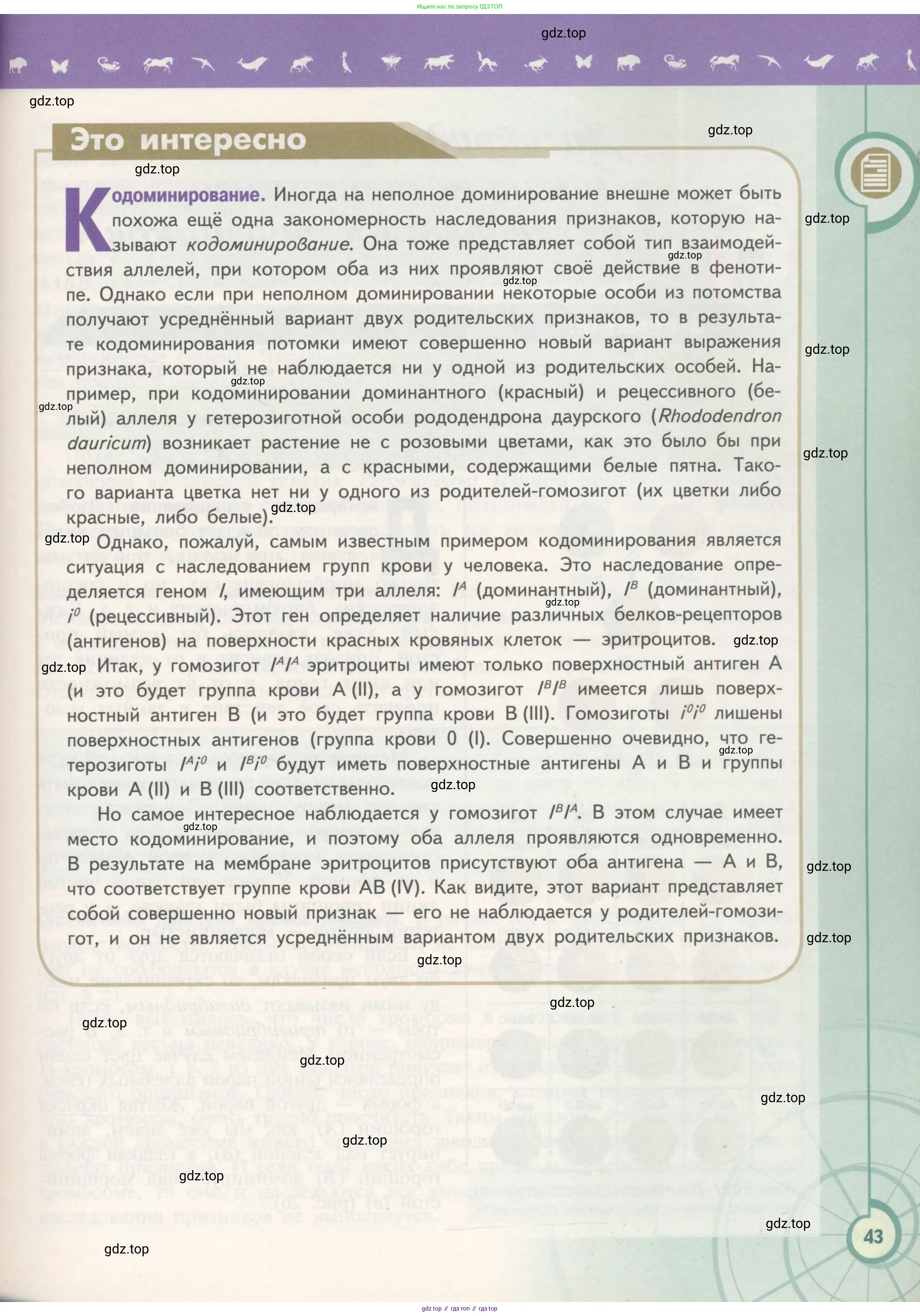 Биология, 11 класс Учебник, авторы: Пасечник Владимир Васильевич, Каменский Андрей Александрович, Рубцов Александр Михайлович, Швецов Глеб Геннадьевич, Гапонюк Зоя Георгиевна, издательство Просвещение, Москва, 2018, страница 43