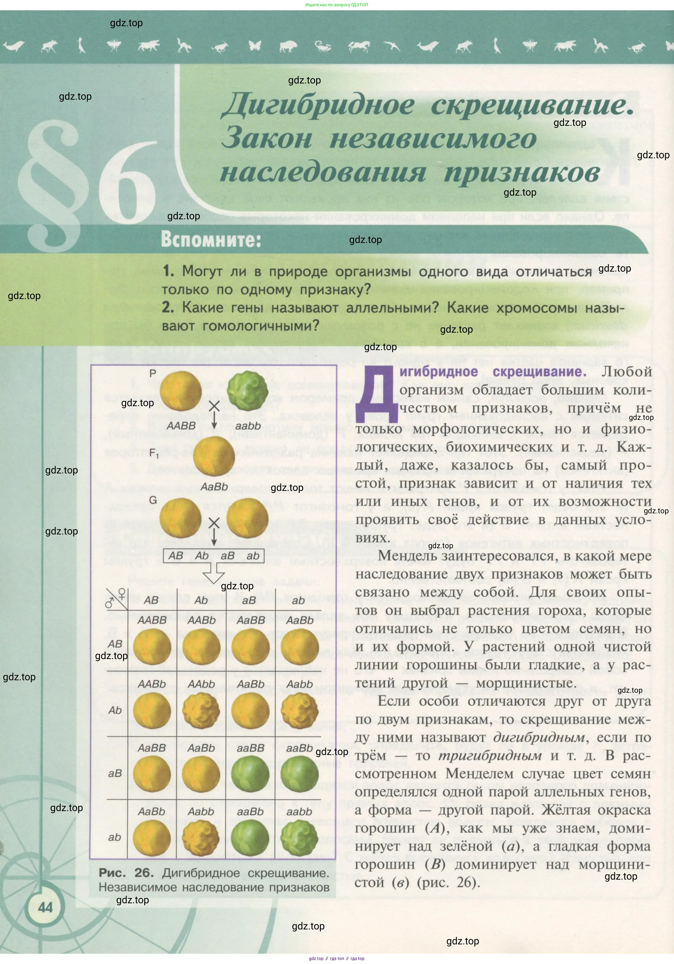 Биология, 11 класс Учебник, авторы: Пасечник Владимир Васильевич, Каменский Андрей Александрович, Рубцов Александр Михайлович, Швецов Глеб Геннадьевич, Гапонюк Зоя Георгиевна, издательство Просвещение, Москва, 2018, страница 44
