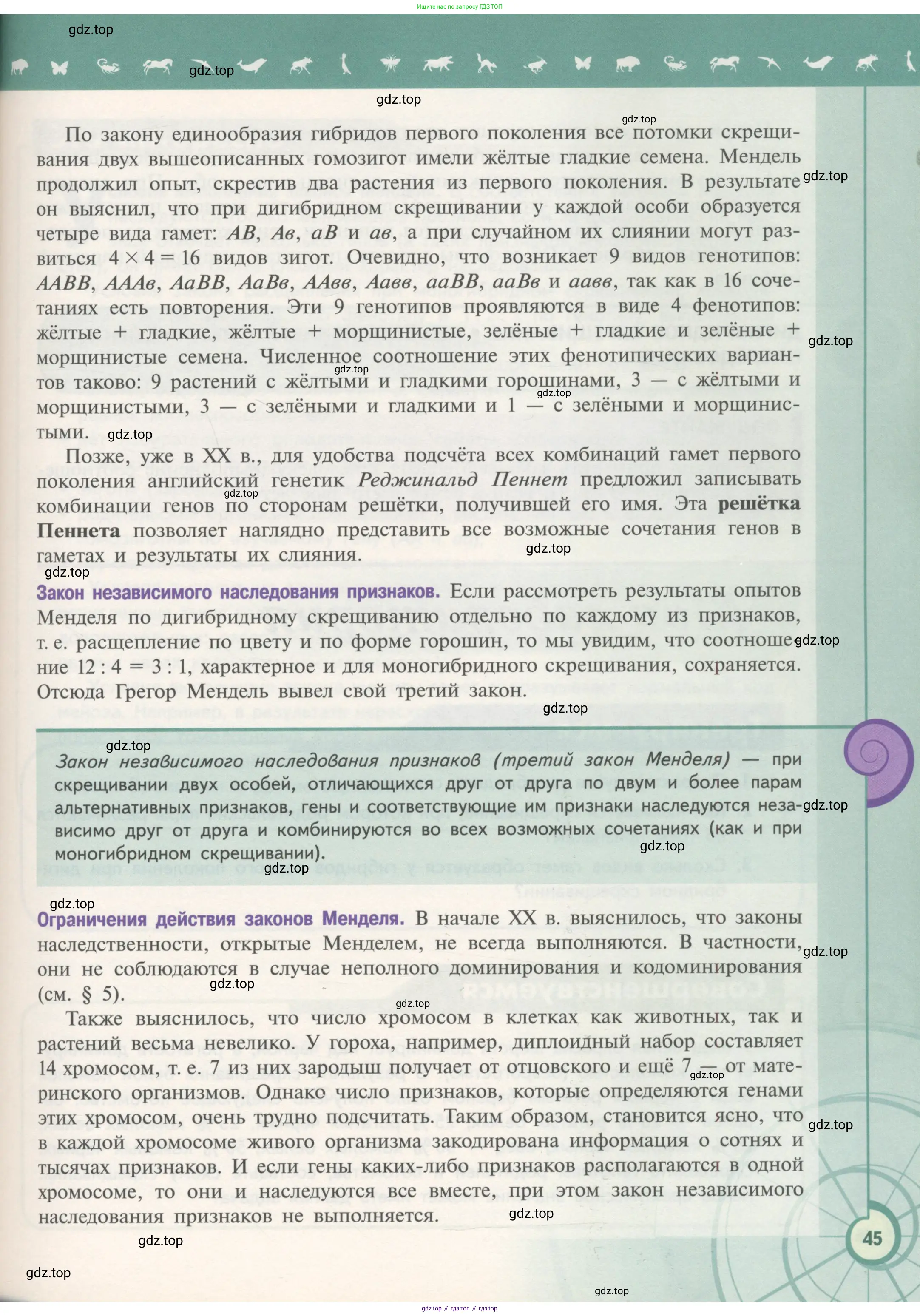 Биология, 11 класс Учебник, авторы: Пасечник Владимир Васильевич, Каменский Андрей Александрович, Рубцов Александр Михайлович, Швецов Глеб Геннадьевич, Гапонюк Зоя Георгиевна, издательство Просвещение, Москва, 2018, страница 45