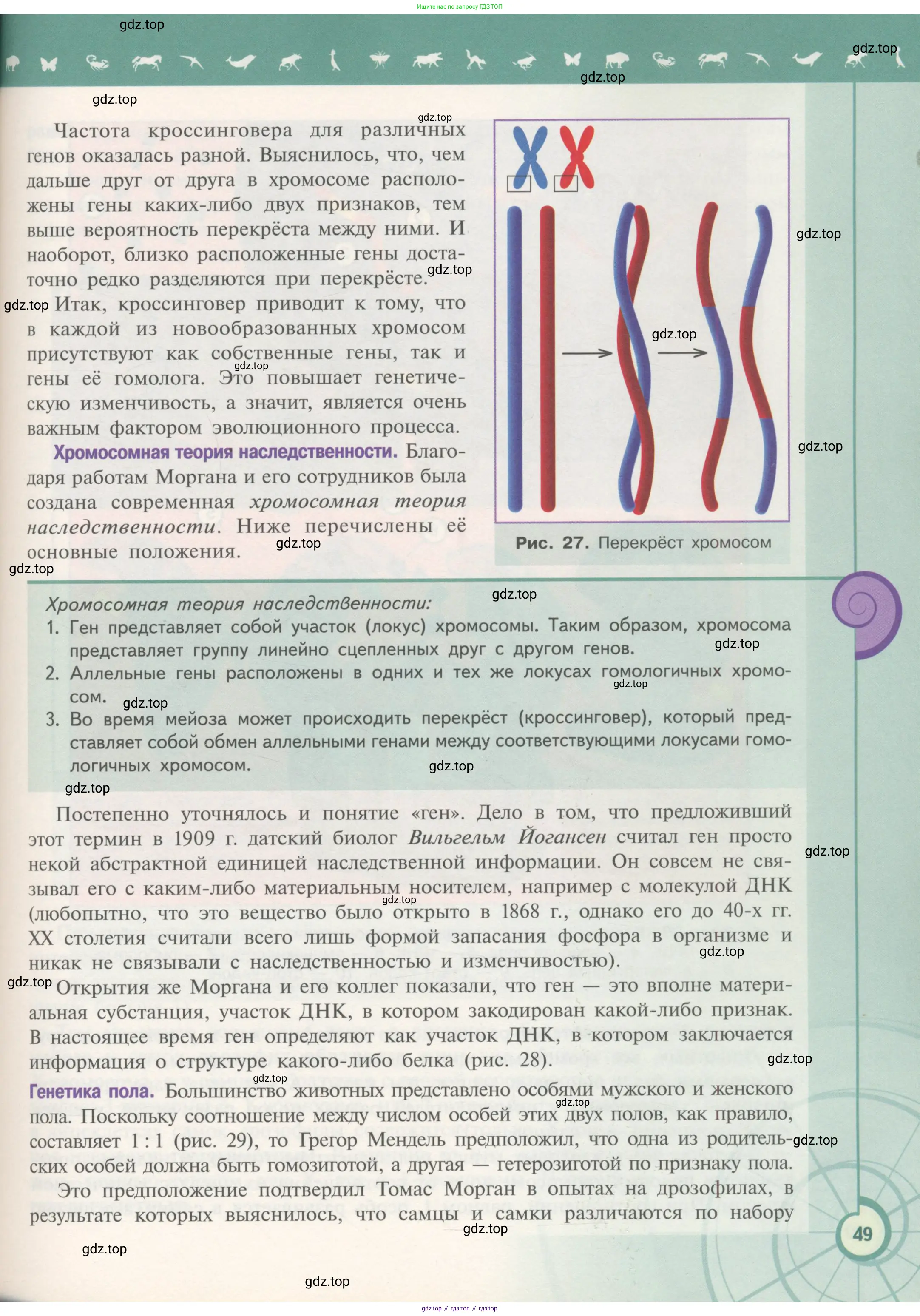 Биология, 11 класс Учебник, авторы: Пасечник Владимир Васильевич, Каменский Андрей Александрович, Рубцов Александр Михайлович, Швецов Глеб Геннадьевич, Гапонюк Зоя Георгиевна, издательство Просвещение, Москва, 2018, страница 49
