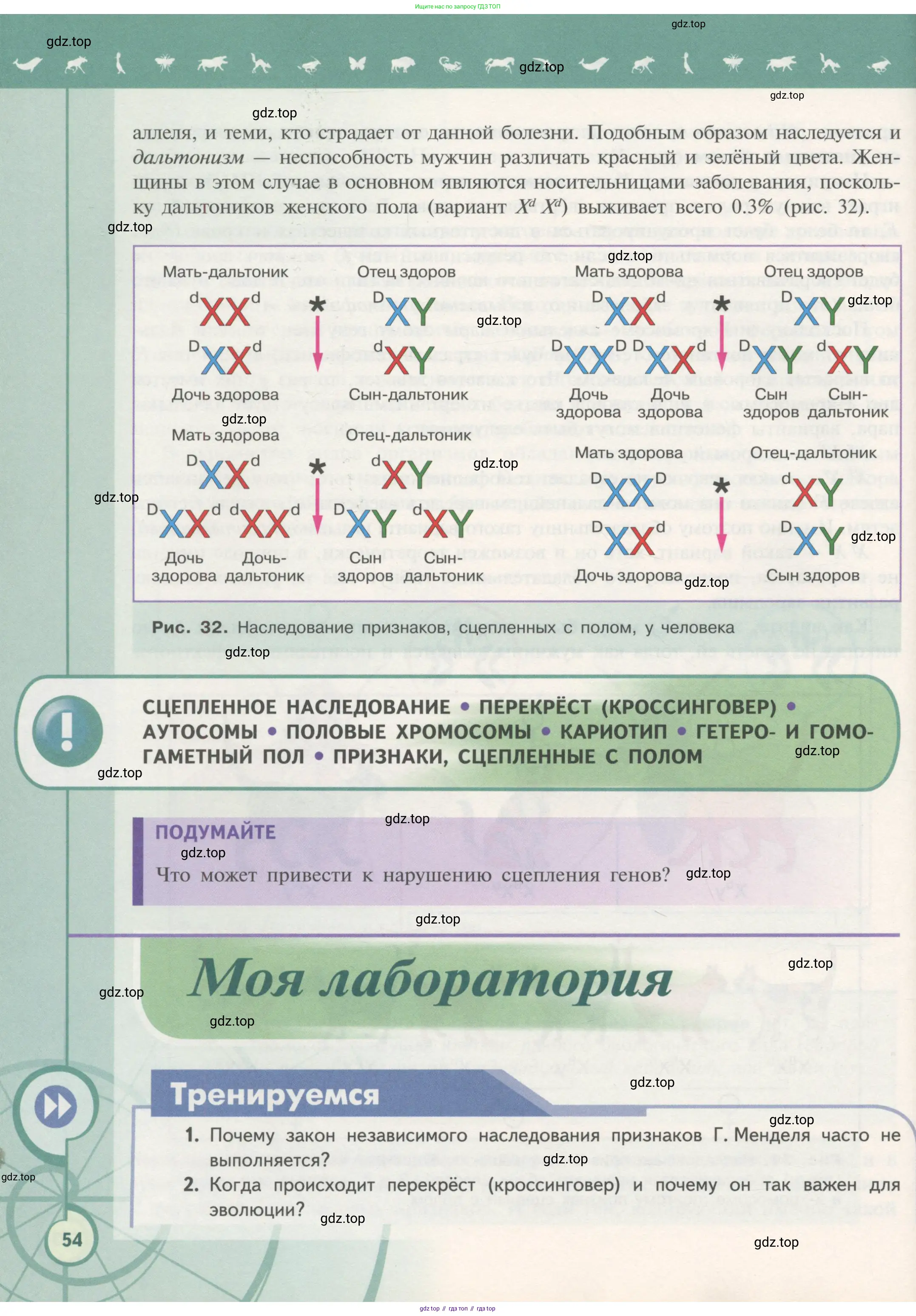 Биология, 11 класс Учебник, авторы: Пасечник Владимир Васильевич, Каменский Андрей Александрович, Рубцов Александр Михайлович, Швецов Глеб Геннадьевич, Гапонюк Зоя Георгиевна, издательство Просвещение, Москва, 2018, страница 54