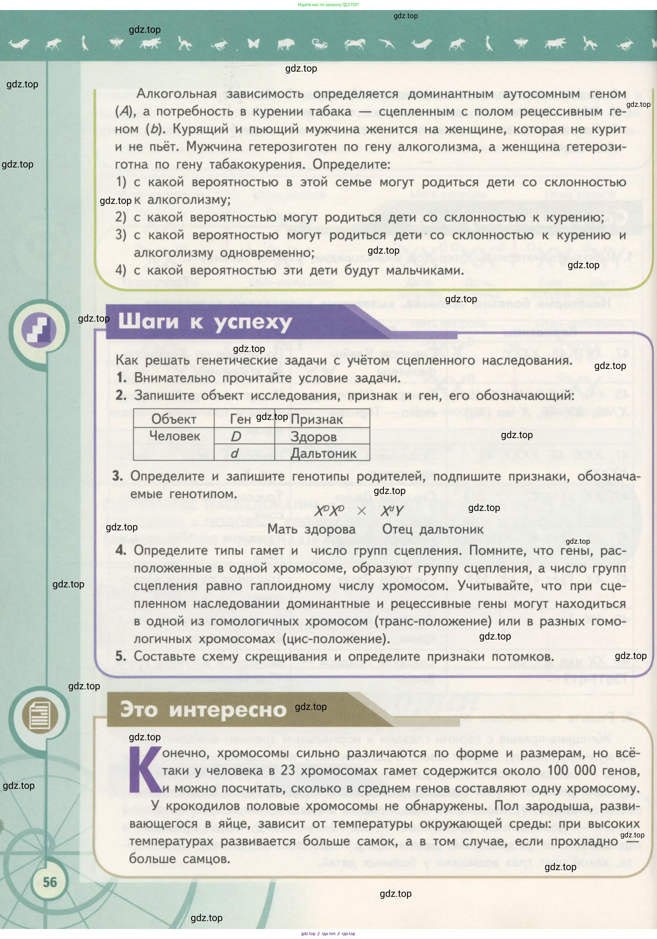Биология, 11 класс Учебник, авторы: Пасечник Владимир Васильевич, Каменский Андрей Александрович, Рубцов Александр Михайлович, Швецов Глеб Геннадьевич, Гапонюк Зоя Георгиевна, издательство Просвещение, Москва, 2018, страница 56