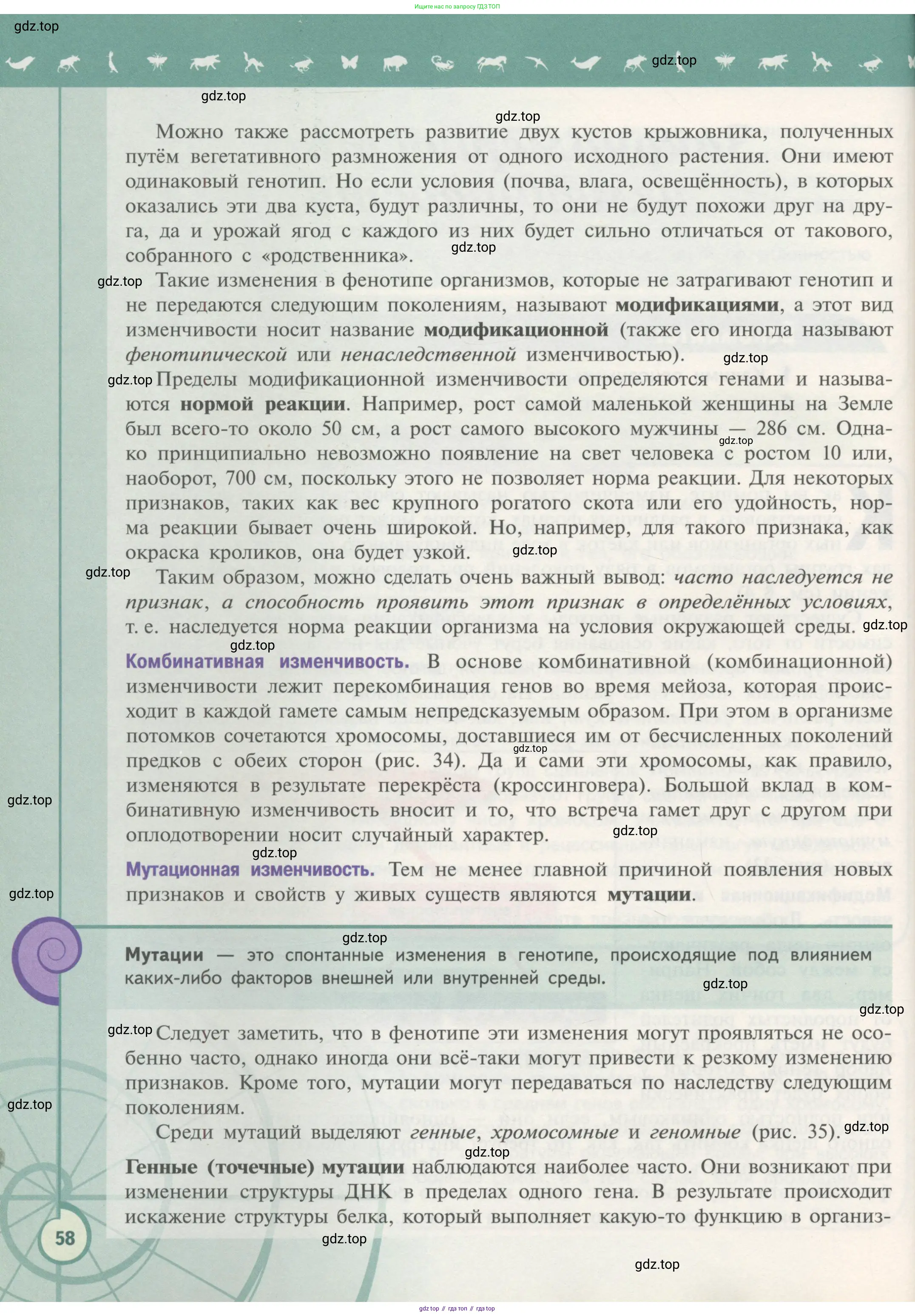 Биология, 11 класс Учебник, авторы: Пасечник Владимир Васильевич, Каменский Андрей Александрович, Рубцов Александр Михайлович, Швецов Глеб Геннадьевич, Гапонюк Зоя Георгиевна, издательство Просвещение, Москва, 2018, страница 58