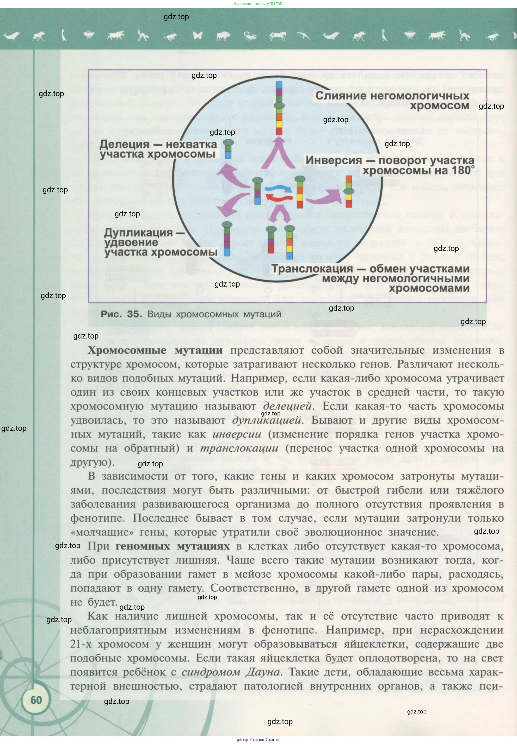 Биология, 11 класс Учебник, авторы: Пасечник Владимир Васильевич, Каменский Андрей Александрович, Рубцов Александр Михайлович, Швецов Глеб Геннадьевич, Гапонюк Зоя Георгиевна, издательство Просвещение, Москва, 2018, страница 60