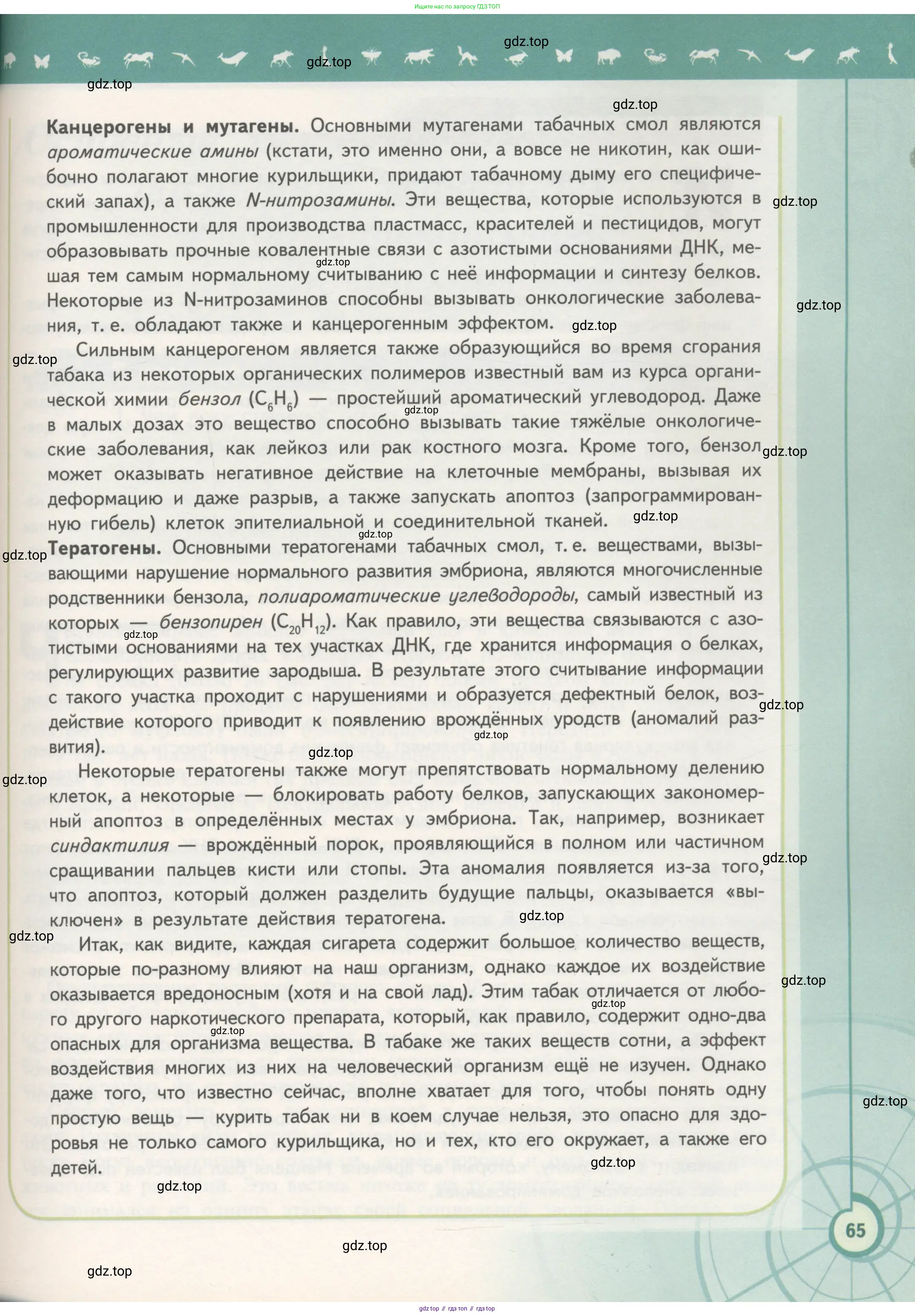 Биология, 11 класс Учебник, авторы: Пасечник Владимир Васильевич, Каменский Андрей Александрович, Рубцов Александр Михайлович, Швецов Глеб Геннадьевич, Гапонюк Зоя Георгиевна, издательство Просвещение, Москва, 2018, страница 65