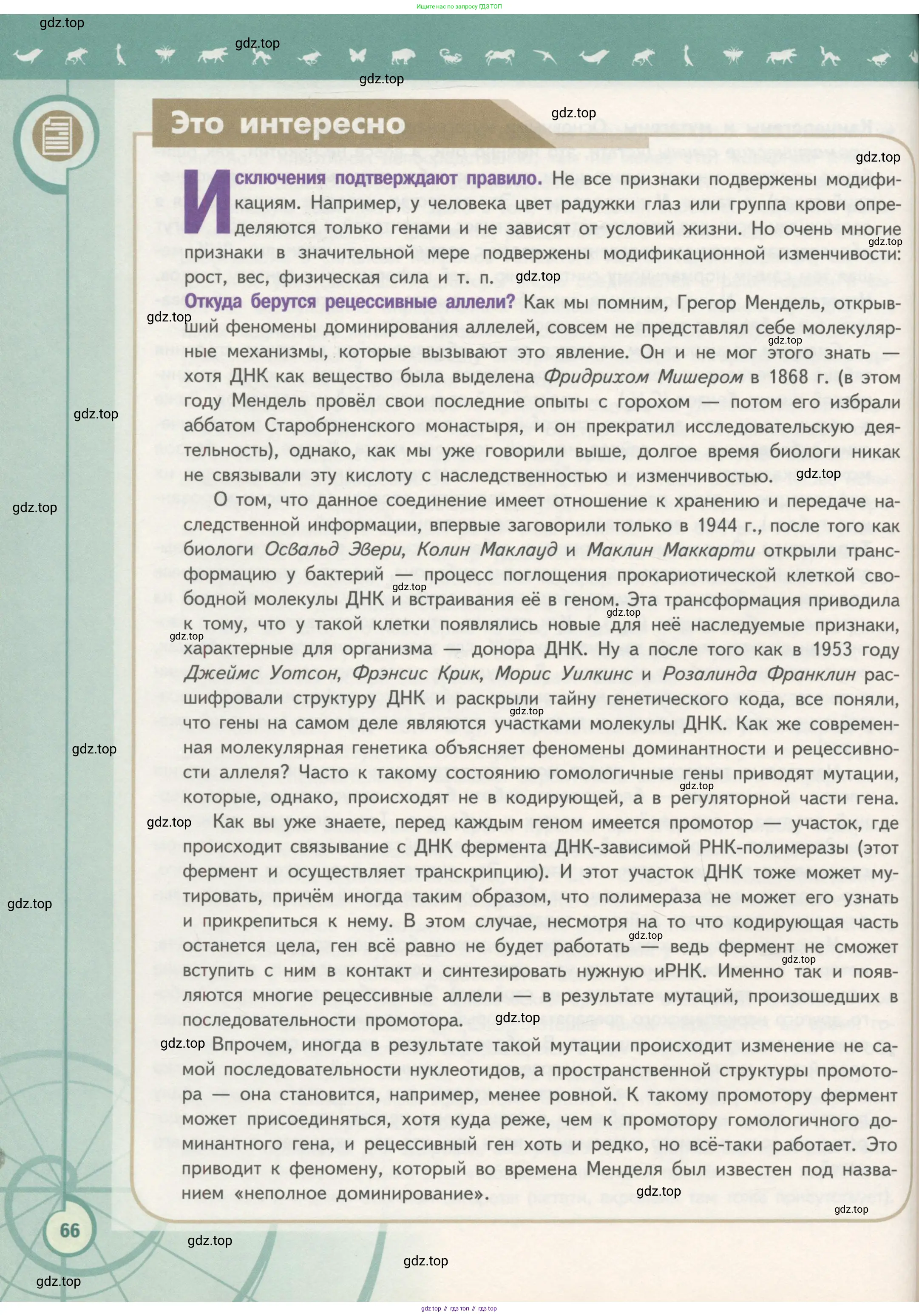 Биология, 11 класс Учебник, авторы: Пасечник Владимир Васильевич, Каменский Андрей Александрович, Рубцов Александр Михайлович, Швецов Глеб Геннадьевич, Гапонюк Зоя Георгиевна, издательство Просвещение, Москва, 2018, страница 66