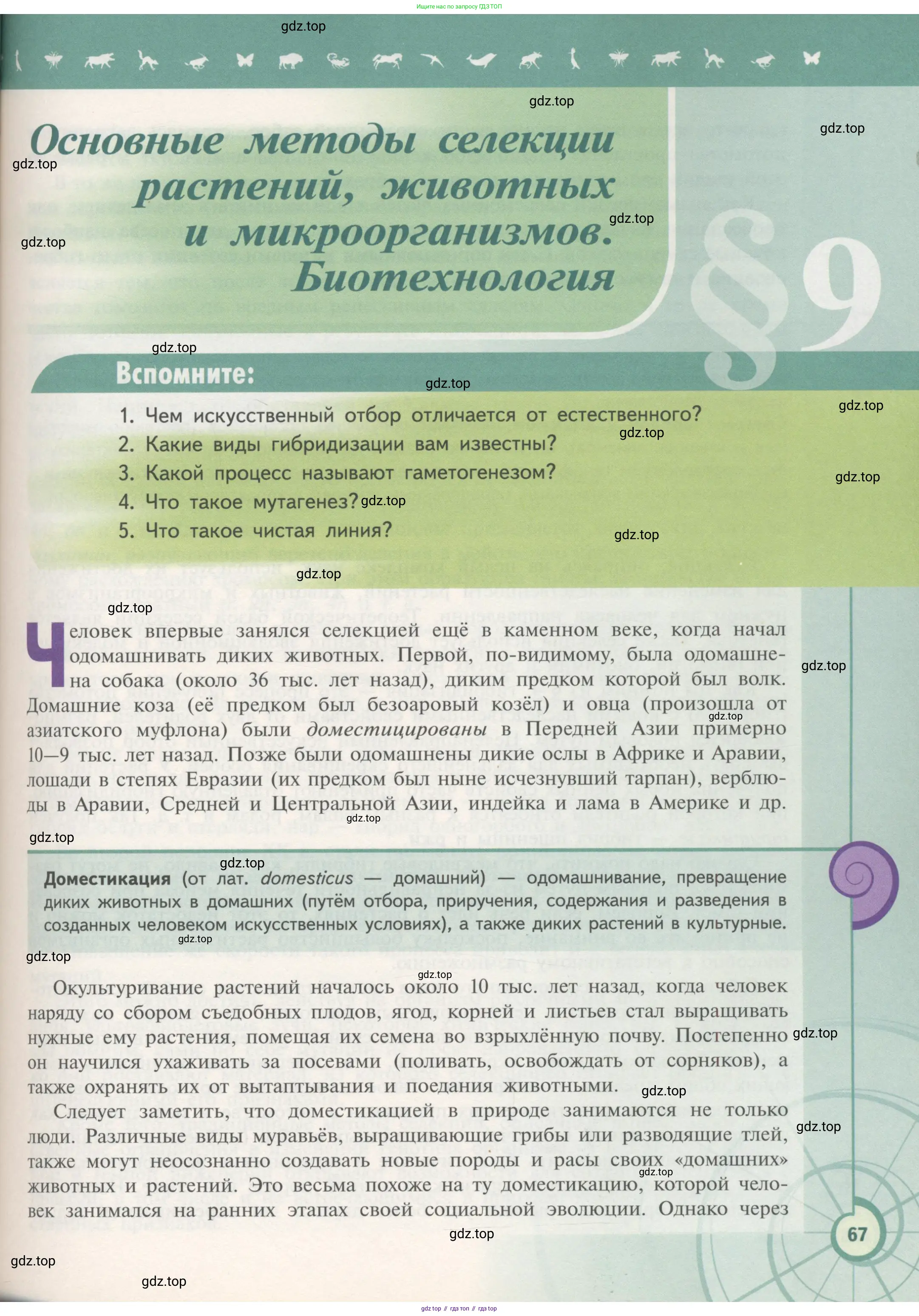 Биология, 11 класс Учебник, авторы: Пасечник Владимир Васильевич, Каменский Андрей Александрович, Рубцов Александр Михайлович, Швецов Глеб Геннадьевич, Гапонюк Зоя Георгиевна, издательство Просвещение, Москва, 2018, страница 67