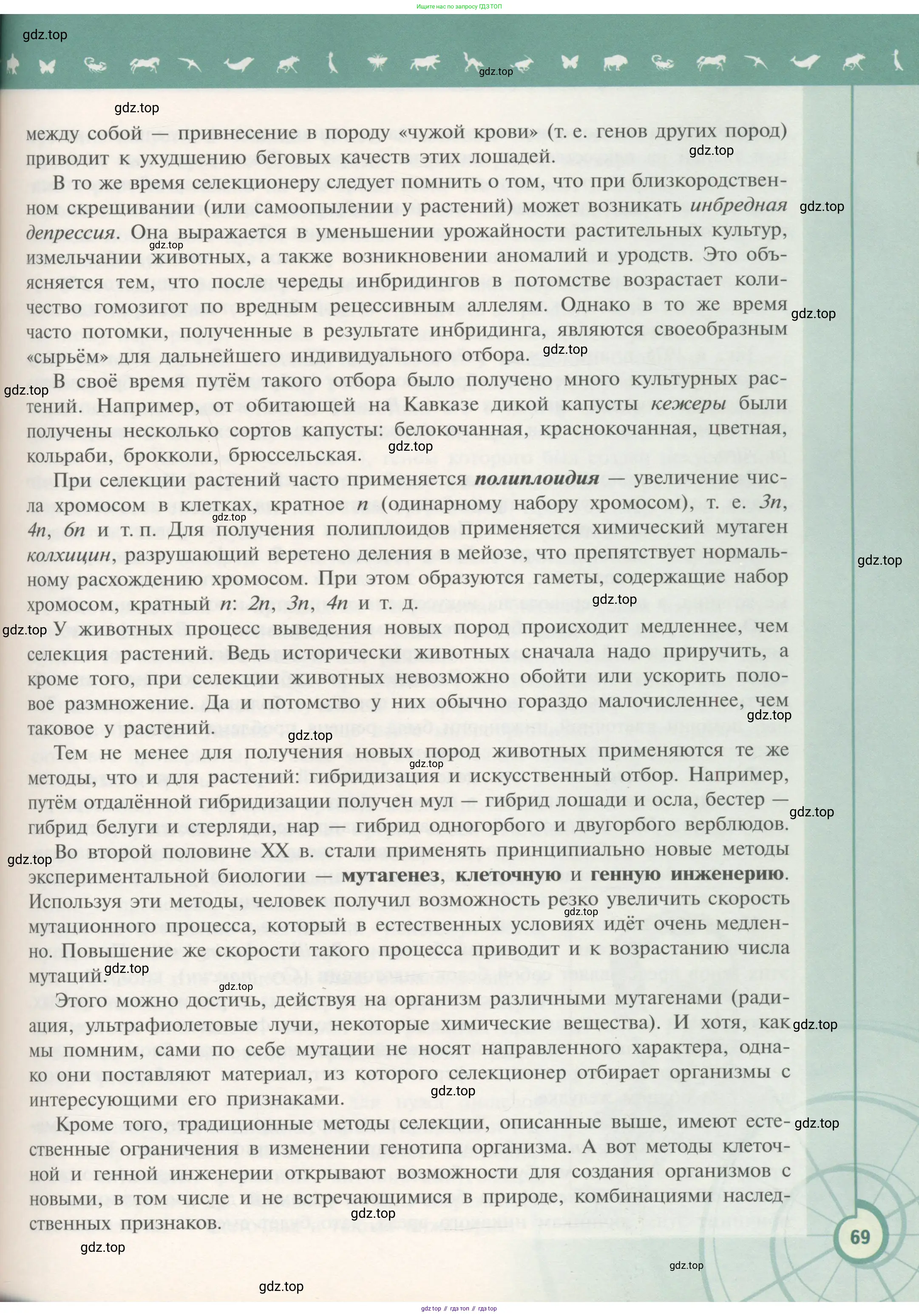 Биология, 11 класс Учебник, авторы: Пасечник Владимир Васильевич, Каменский Андрей Александрович, Рубцов Александр Михайлович, Швецов Глеб Геннадьевич, Гапонюк Зоя Георгиевна, издательство Просвещение, Москва, 2018, страница 69