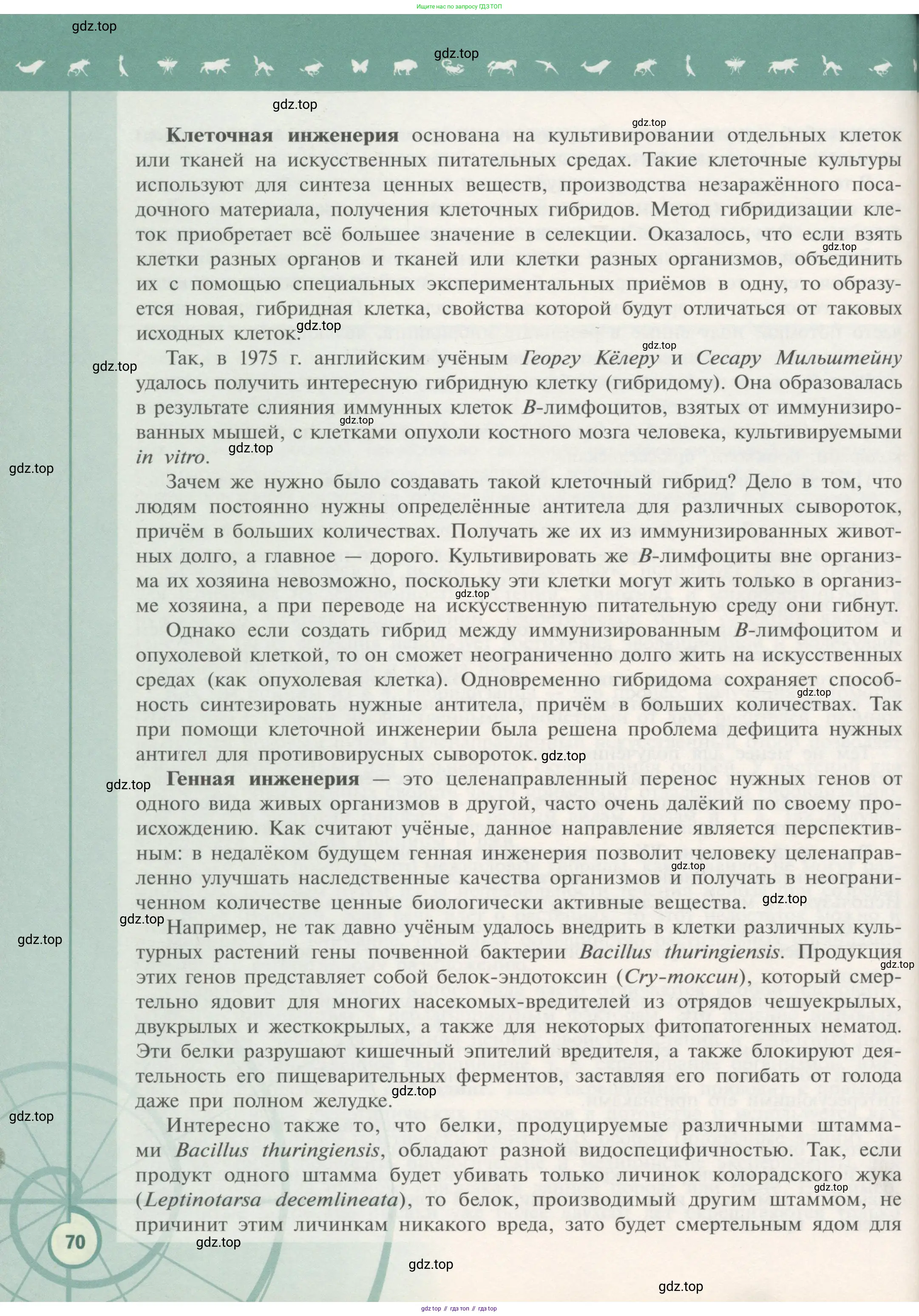 Биология, 11 класс Учебник, авторы: Пасечник Владимир Васильевич, Каменский Андрей Александрович, Рубцов Александр Михайлович, Швецов Глеб Геннадьевич, Гапонюк Зоя Георгиевна, издательство Просвещение, Москва, 2018, страница 70